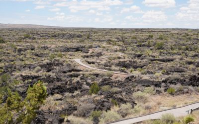 Valley of Fires Recreation, Carrizozo, New Mexico, USA