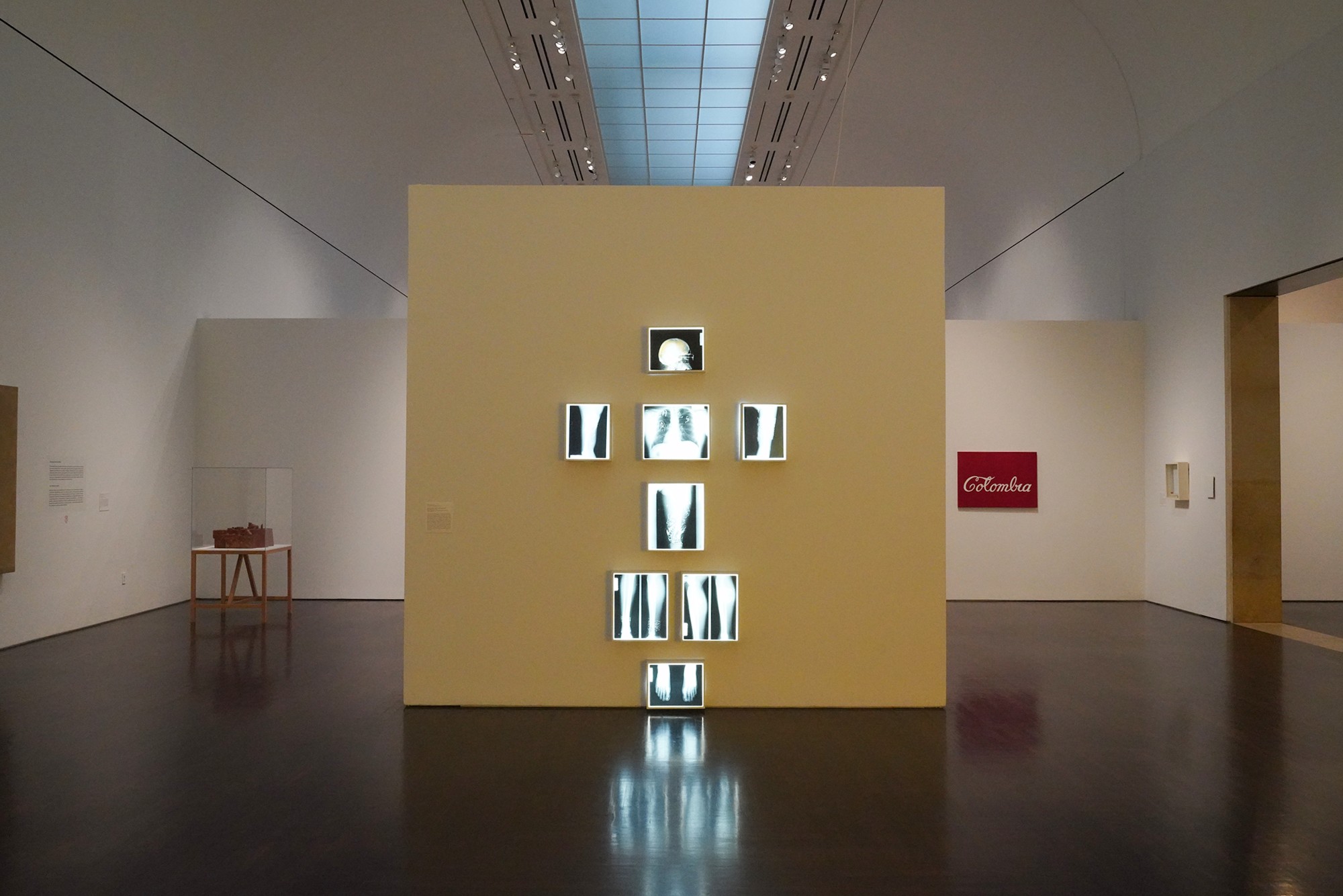 Blanton Museum of Art (29)