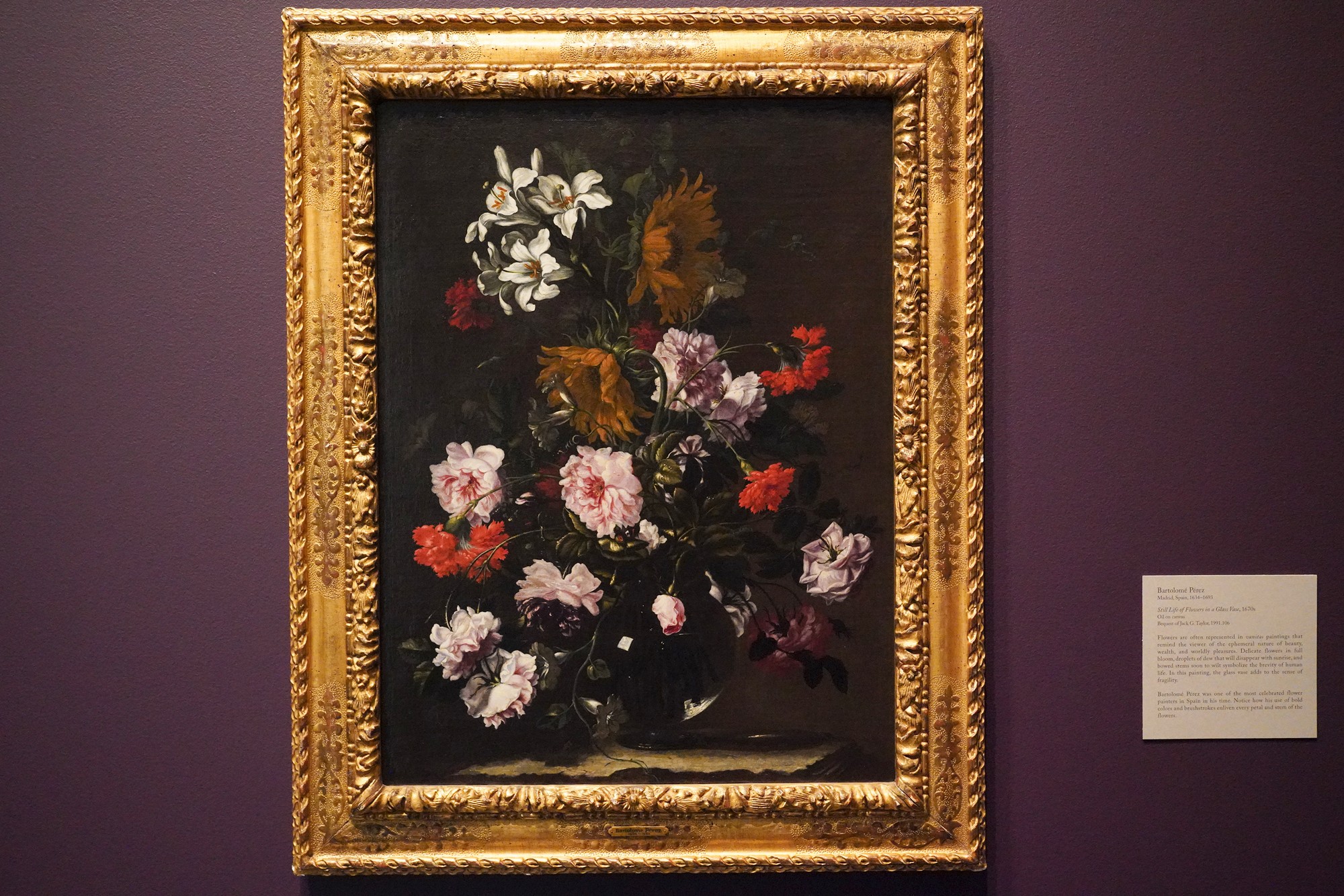 Blanton Museum of Art (70)