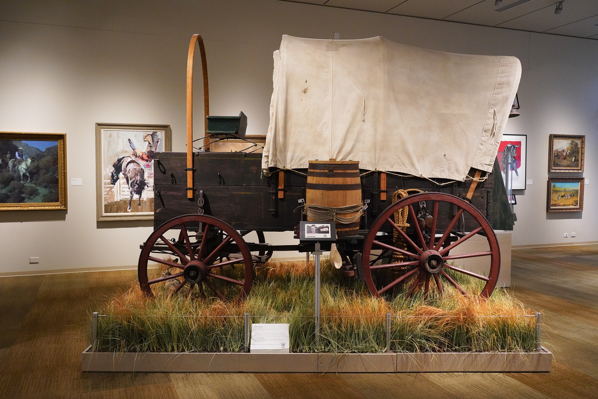 Briscoe Western Art Museum (13)