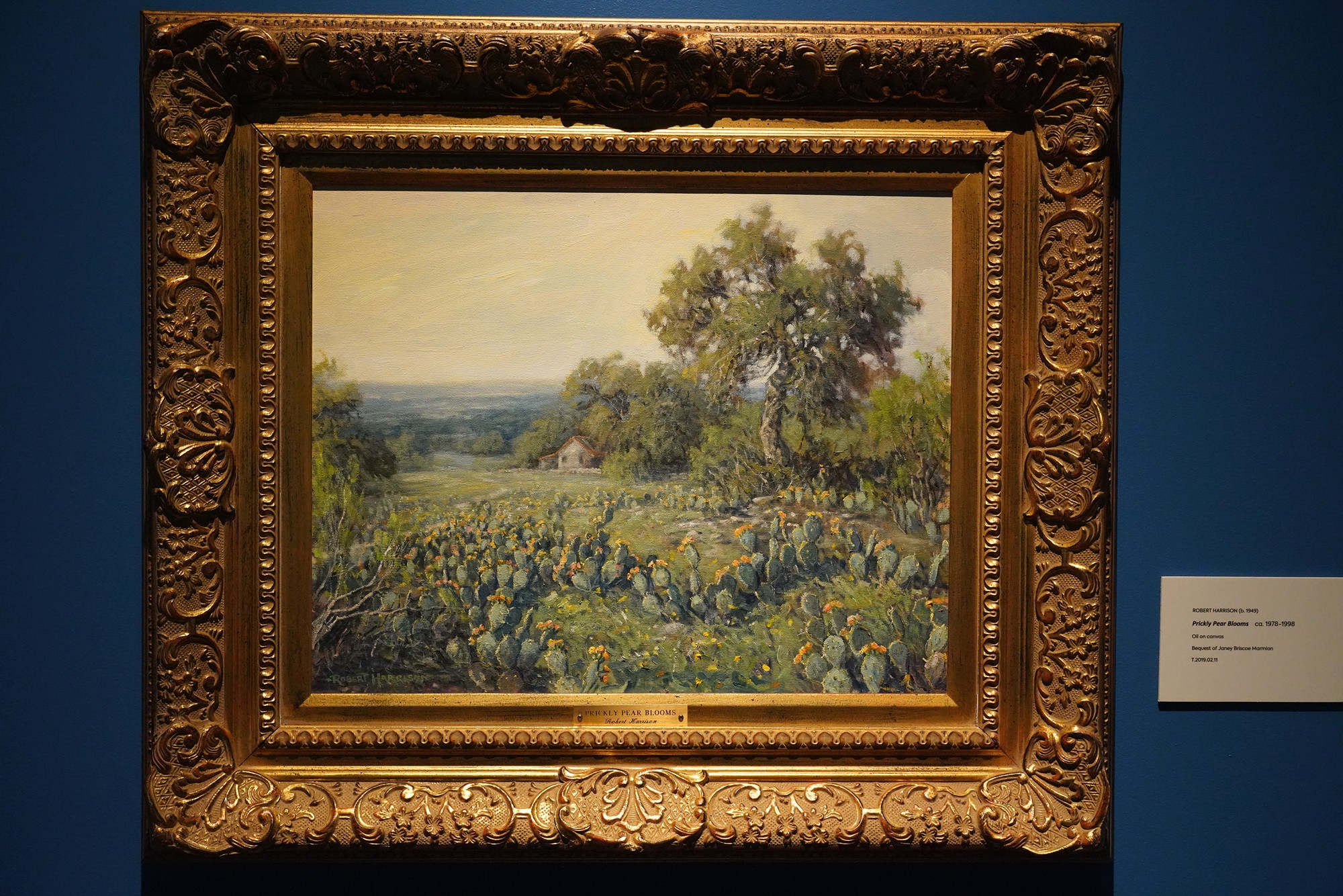 Briscoe Western Art Museum (34)