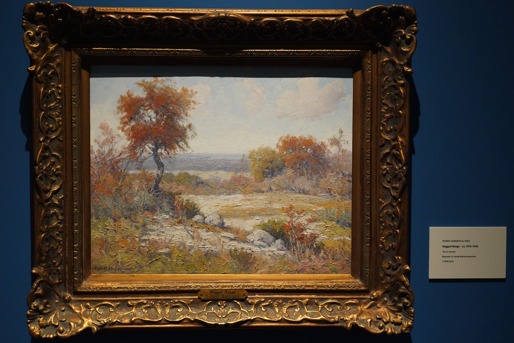 Briscoe Western Art Museum (35)