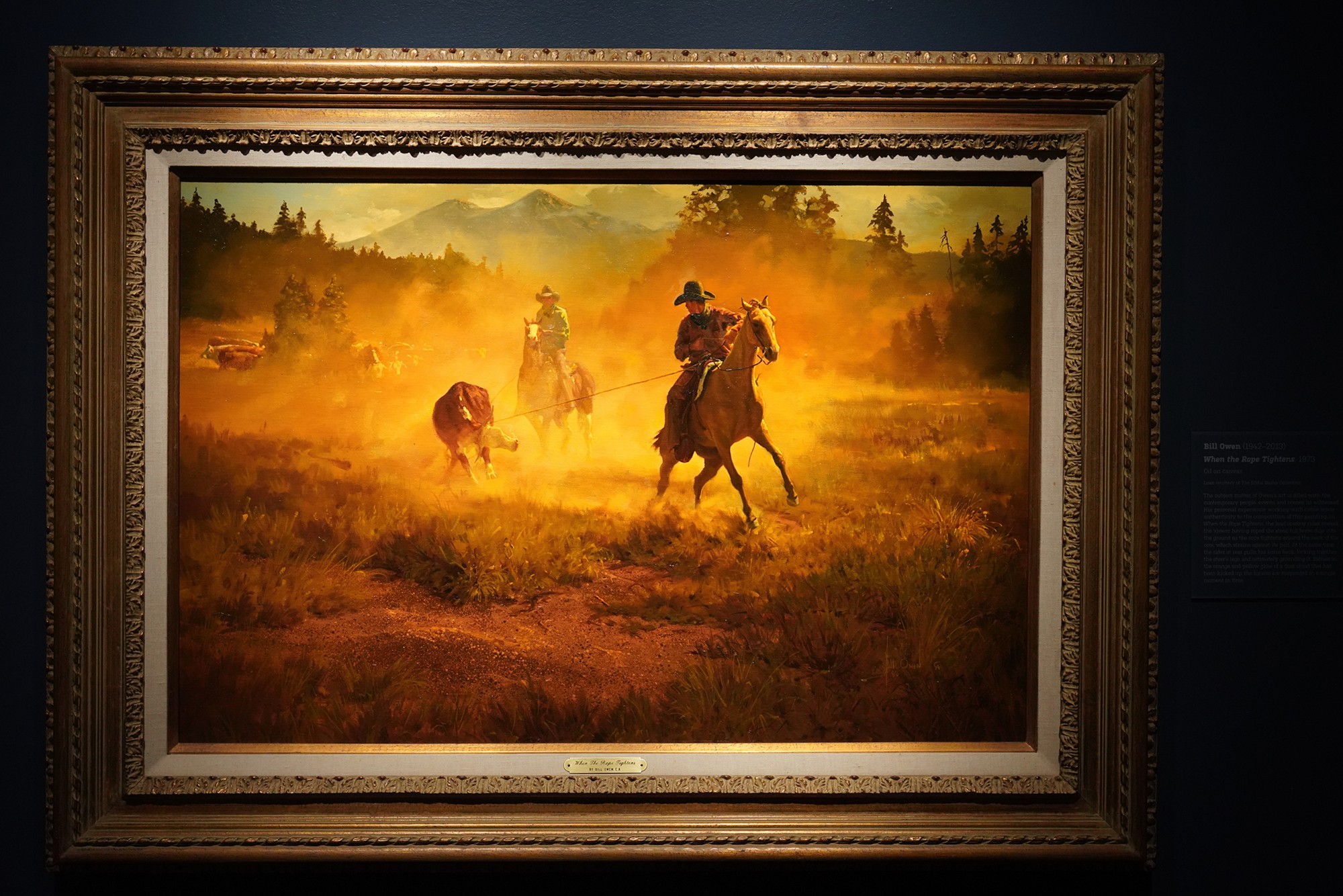 Briscoe Western Art Museum (76)