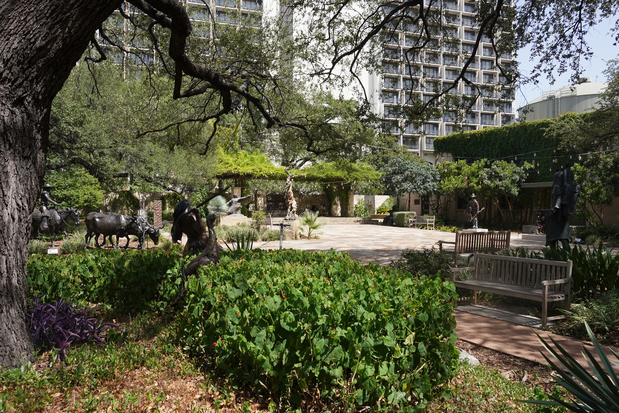 Briscoe Western Art Museum (92)