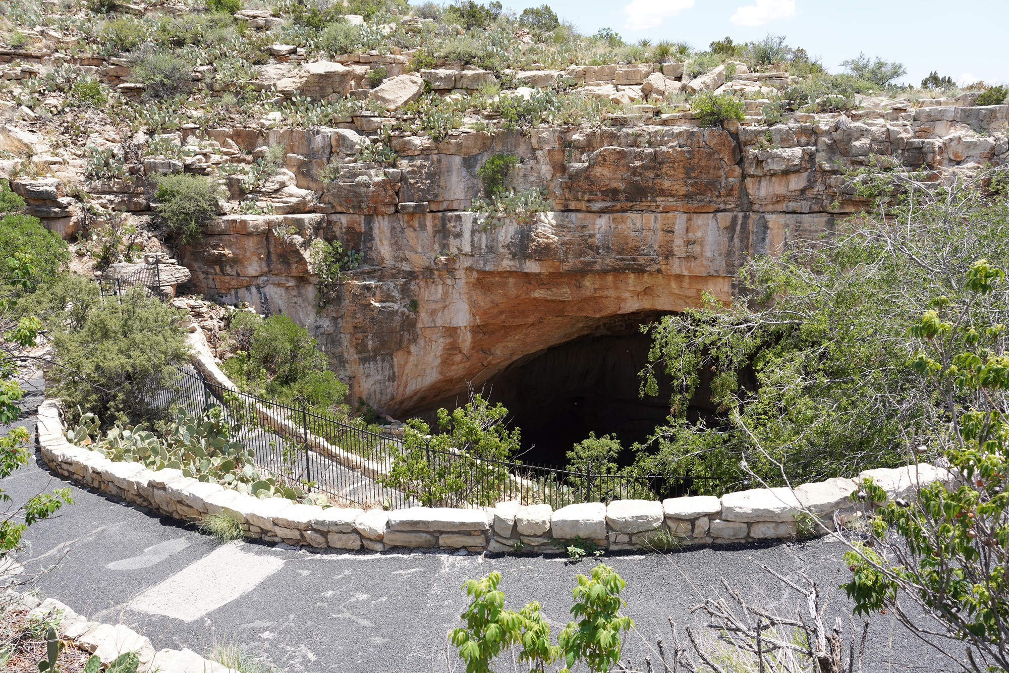 Carlsbad Caverns National Park (13)
