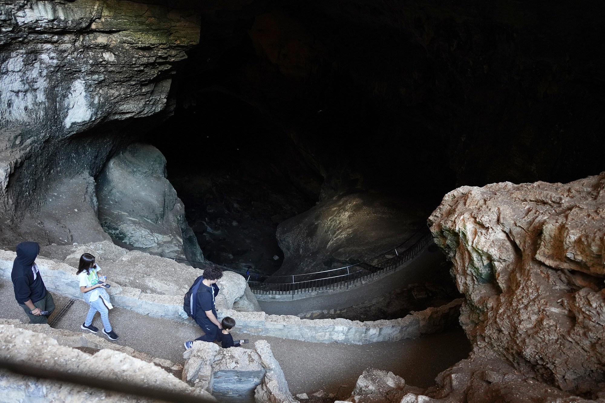 Carlsbad Caverns National Park (17)