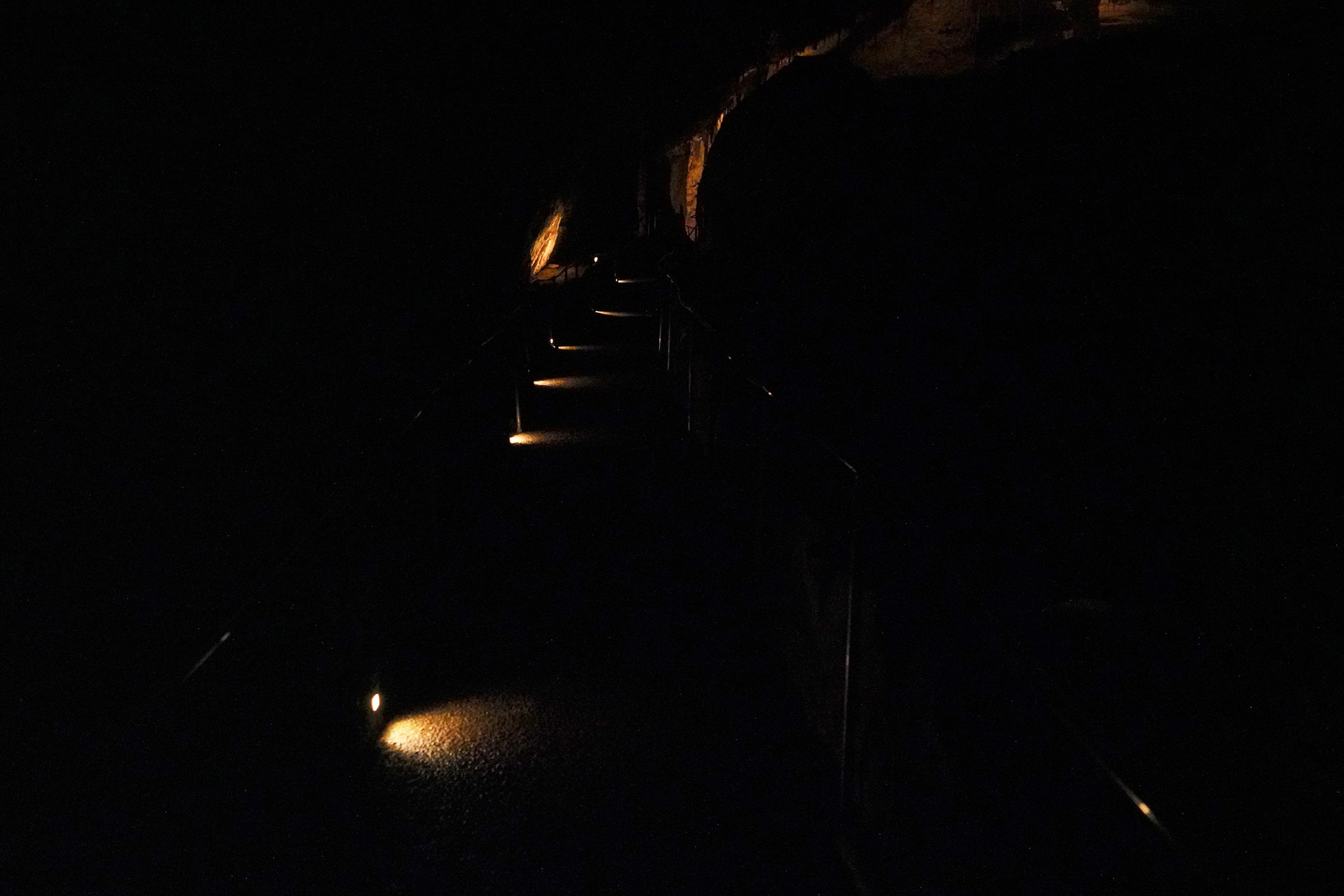 Carlsbad Caverns National Park (22)