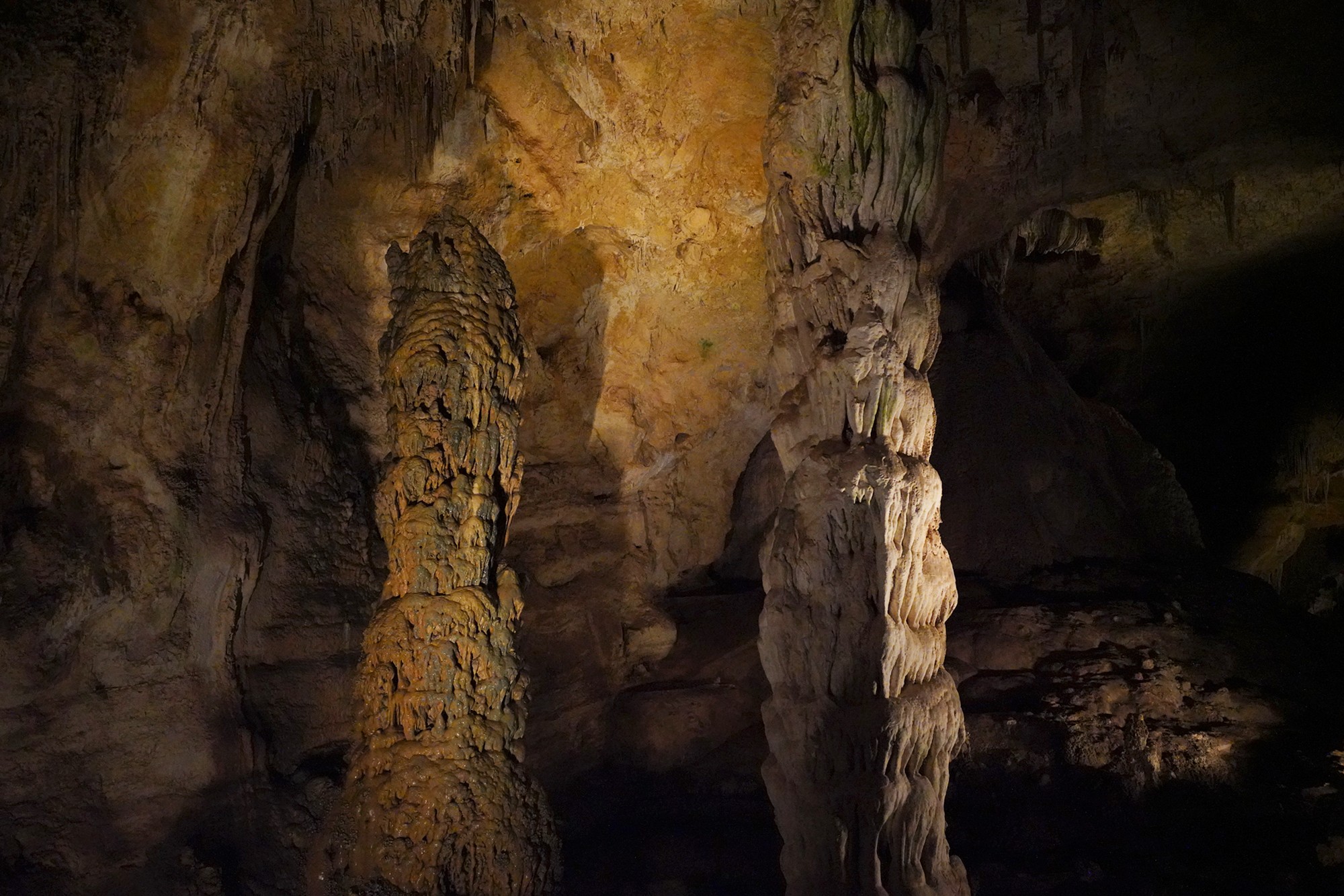 Carlsbad Caverns National Park (24)