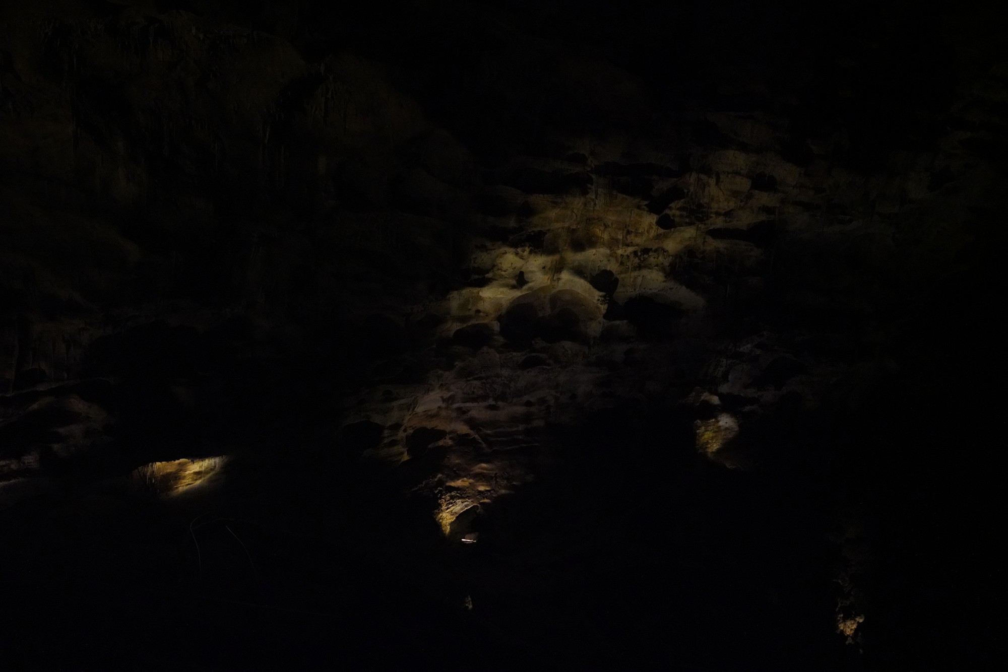 Carlsbad Caverns National Park (26)