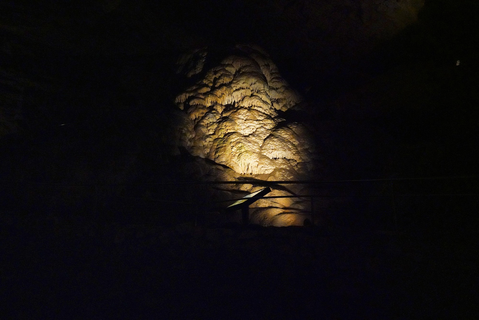 Carlsbad Caverns National Park (27)