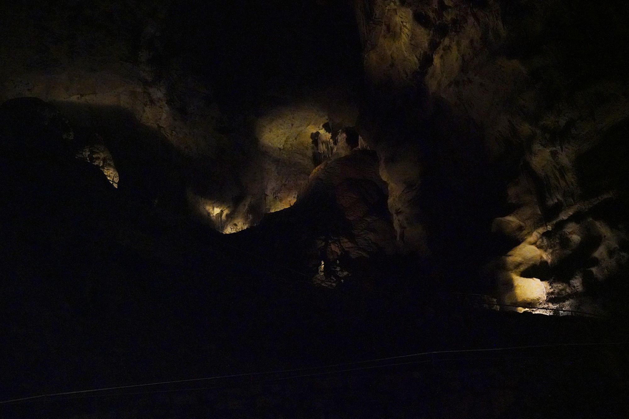 Carlsbad Caverns National Park (28)