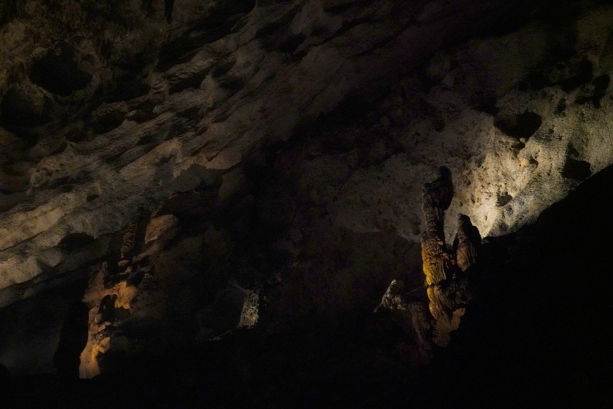 Carlsbad Caverns National Park (31)