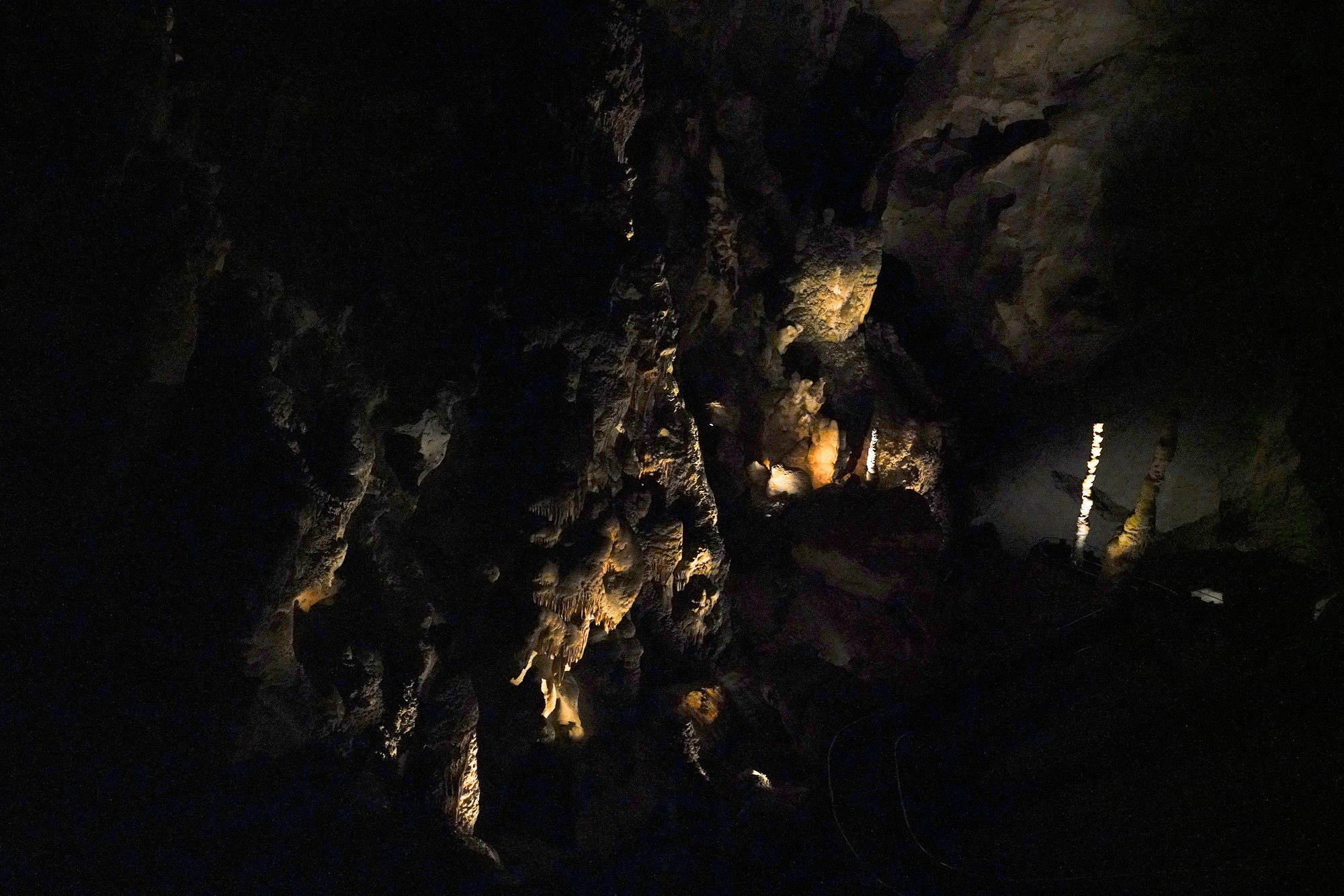 Carlsbad Caverns National Park (34)