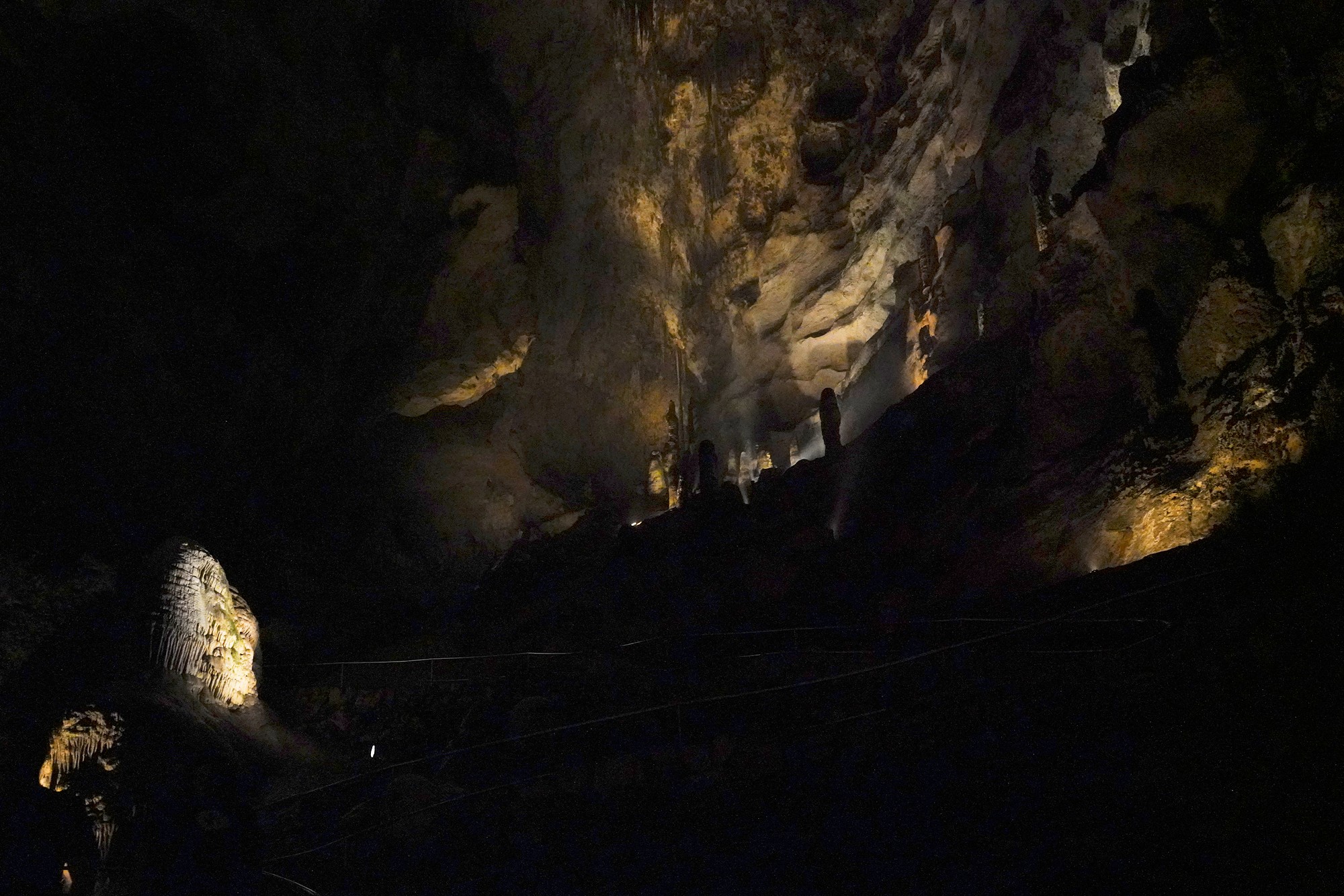 Carlsbad Caverns National Park (35)