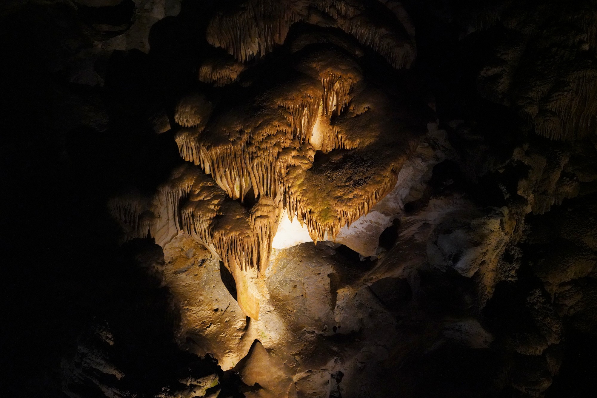 Carlsbad Caverns National Park (36)