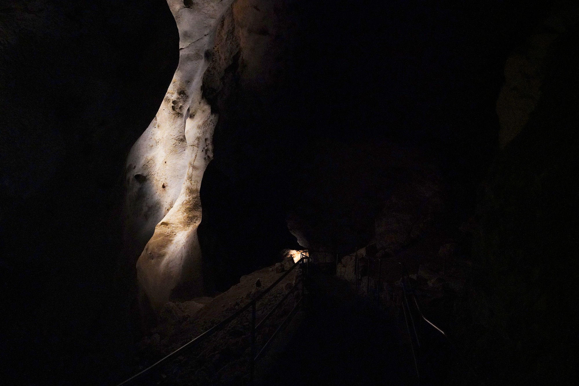 Carlsbad Caverns National Park (37)