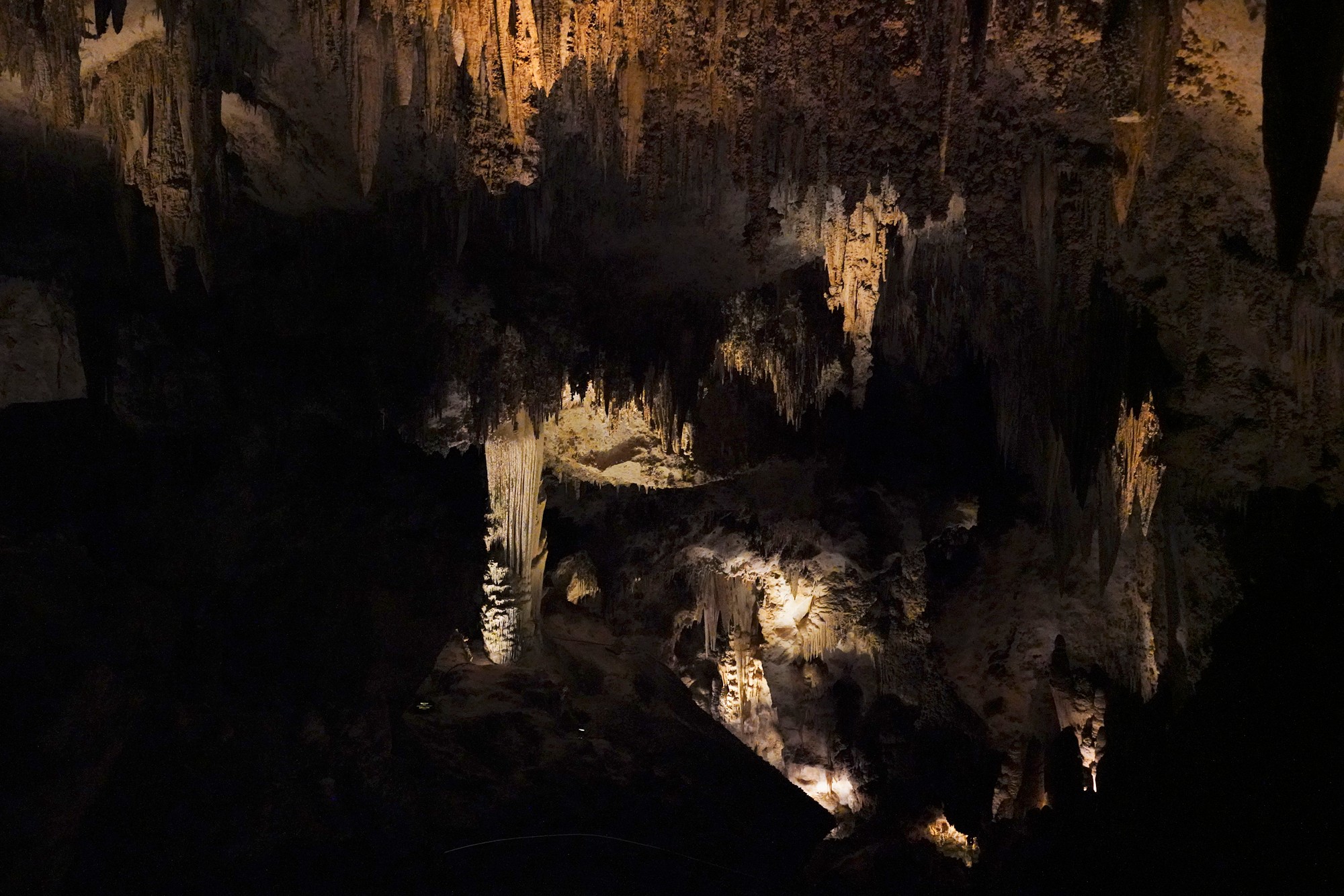 Carlsbad Caverns National Park (38)