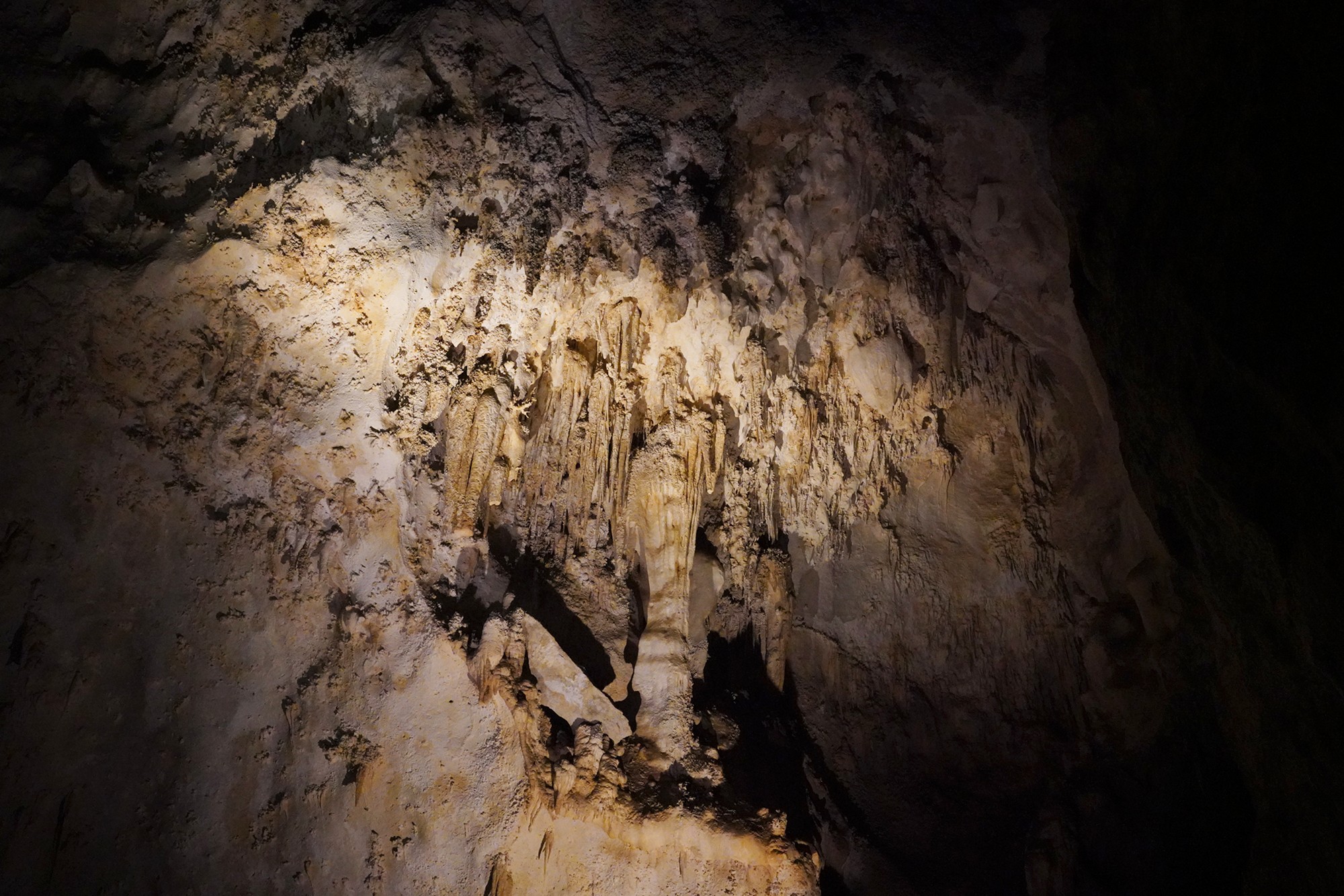 Carlsbad Caverns National Park (39)