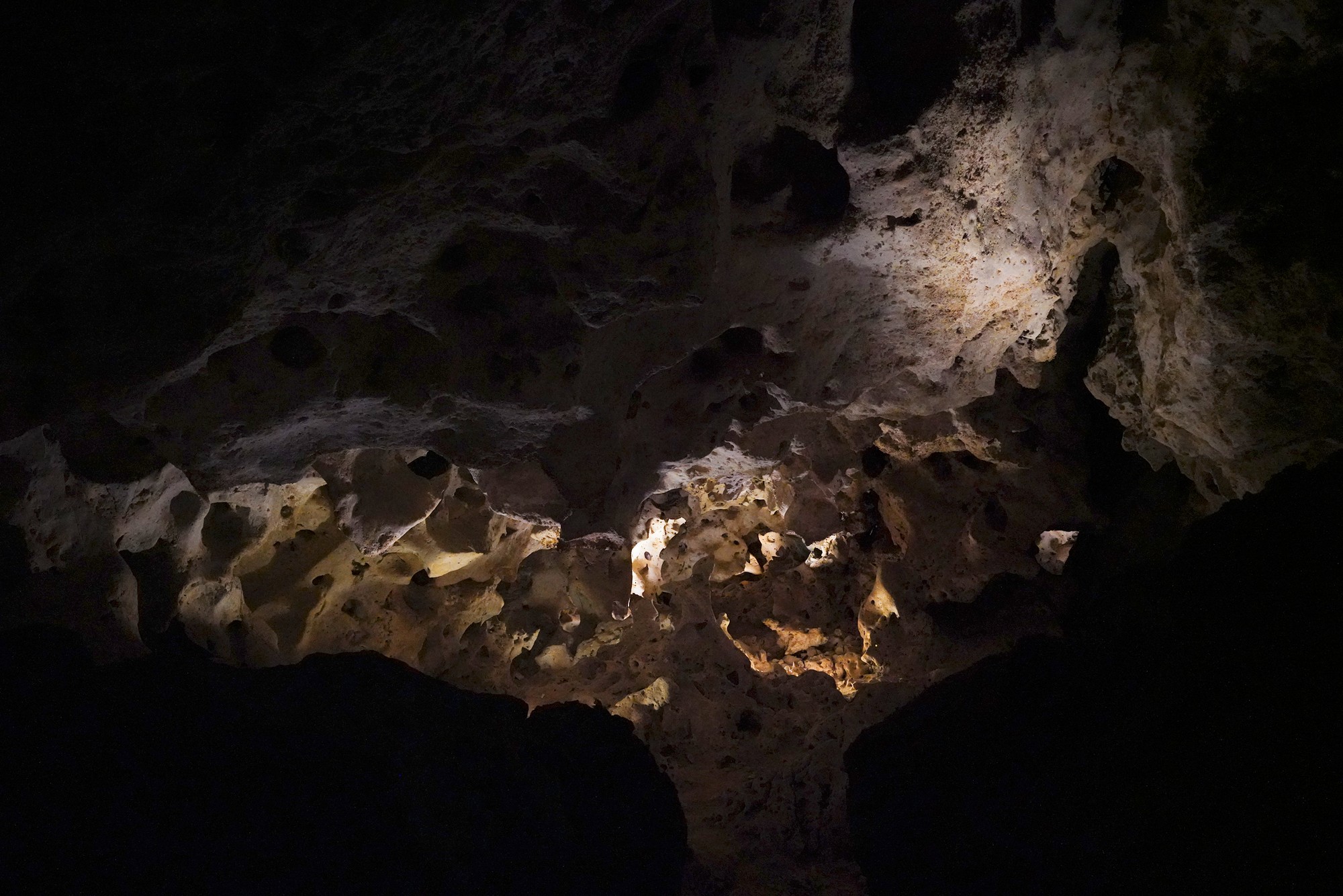 Carlsbad Caverns National Park (40)