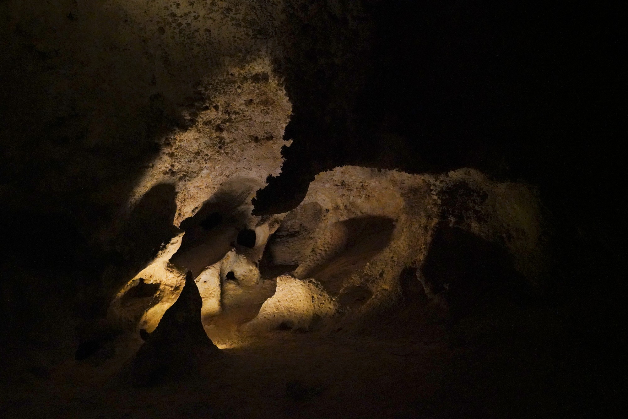 Carlsbad Caverns National Park (41)