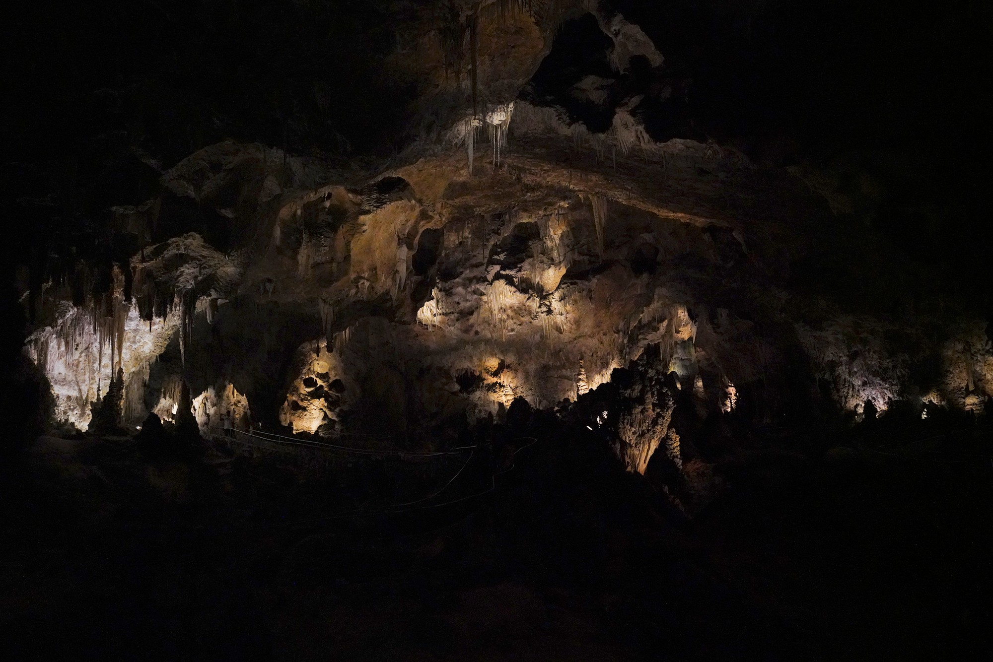 Carlsbad Caverns National Park (43)