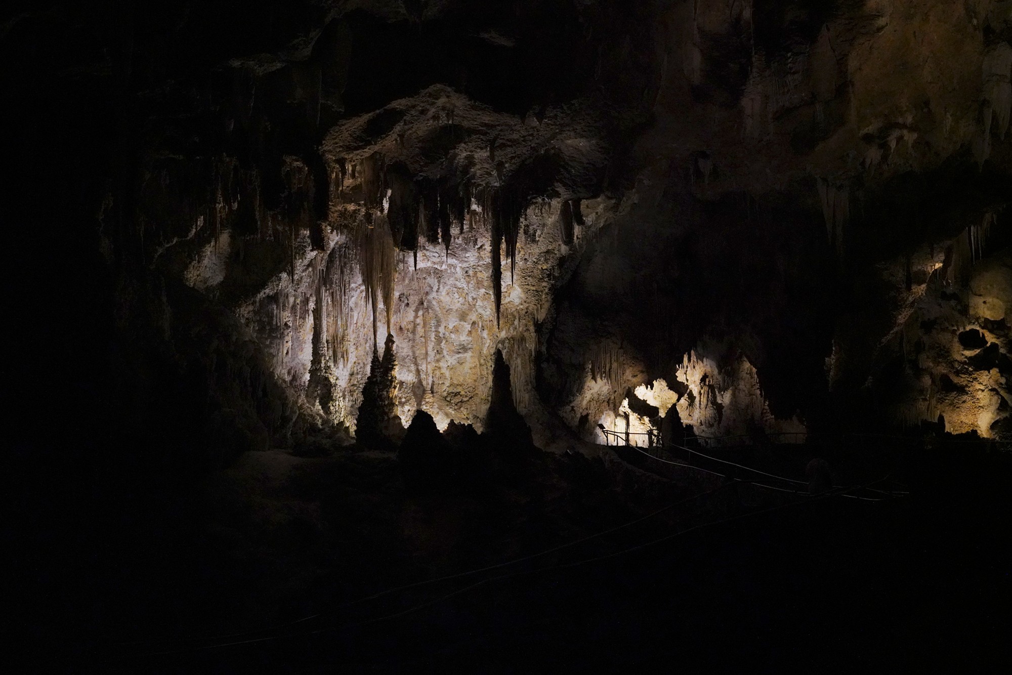 Carlsbad Caverns National Park (44)