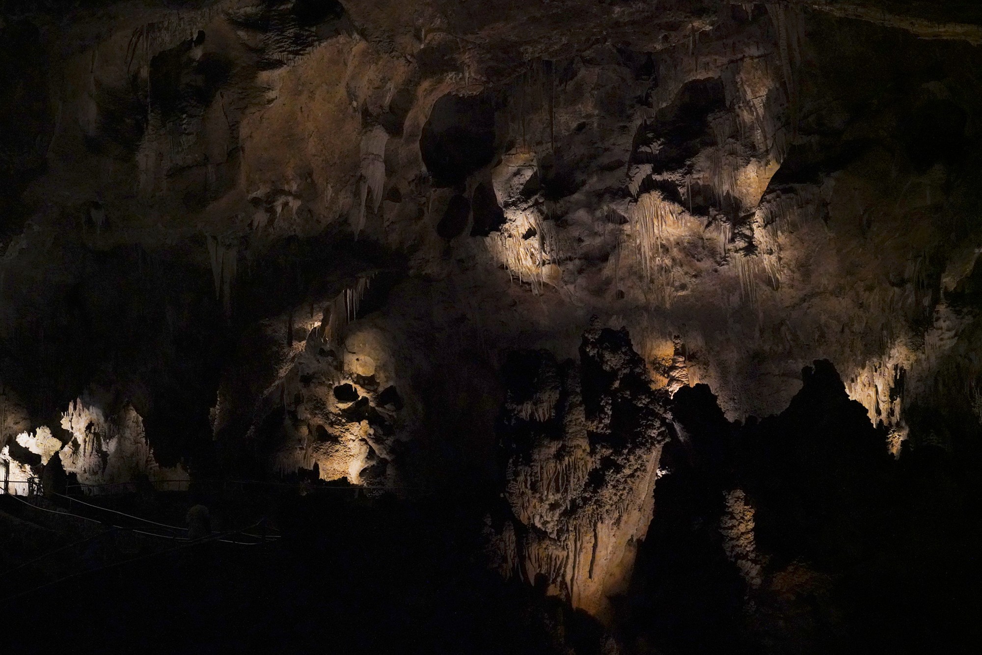 Carlsbad Caverns National Park (45)