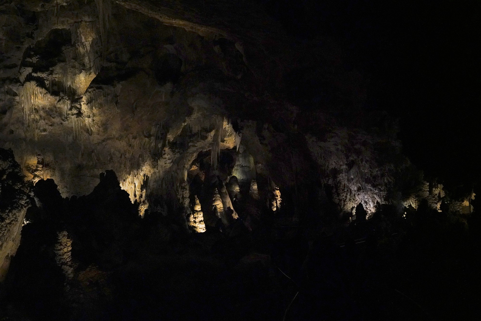 Carlsbad Caverns National Park (46)