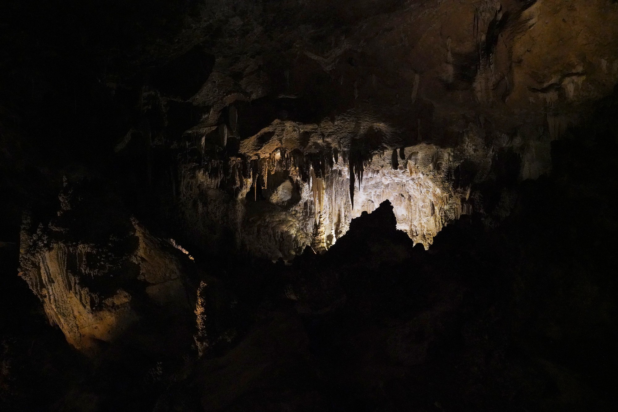 Carlsbad Caverns National Park (47)