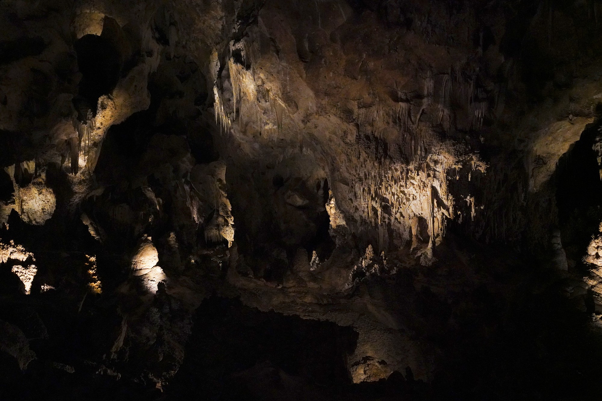 Carlsbad Caverns National Park (48)