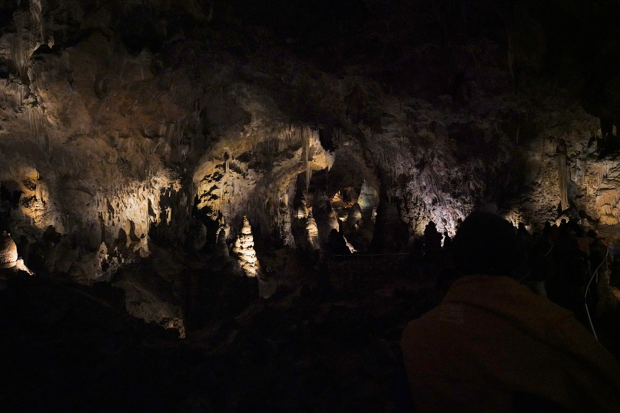 Carlsbad Caverns National Park (49)
