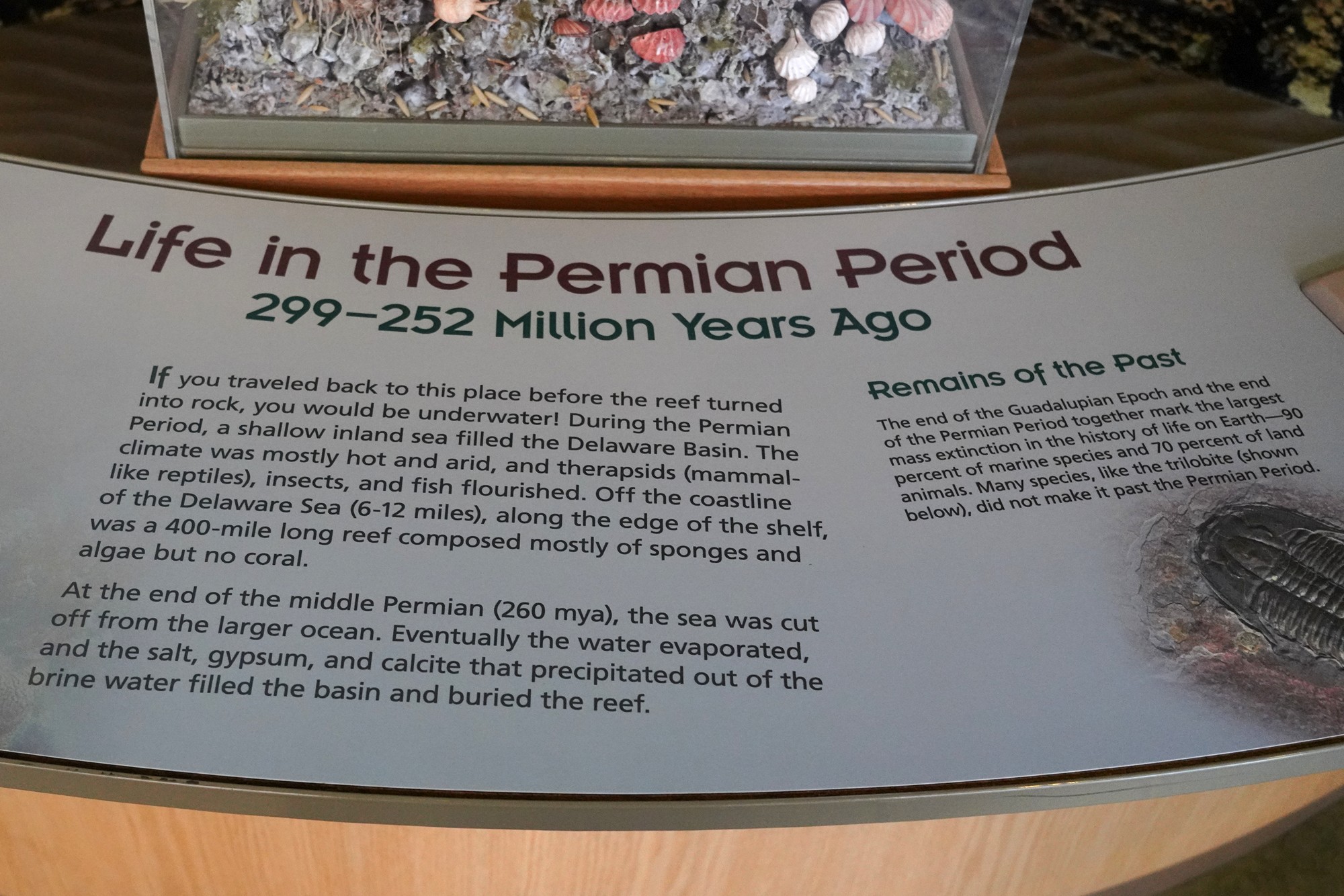 Carlsbad Caverns National Park (5)