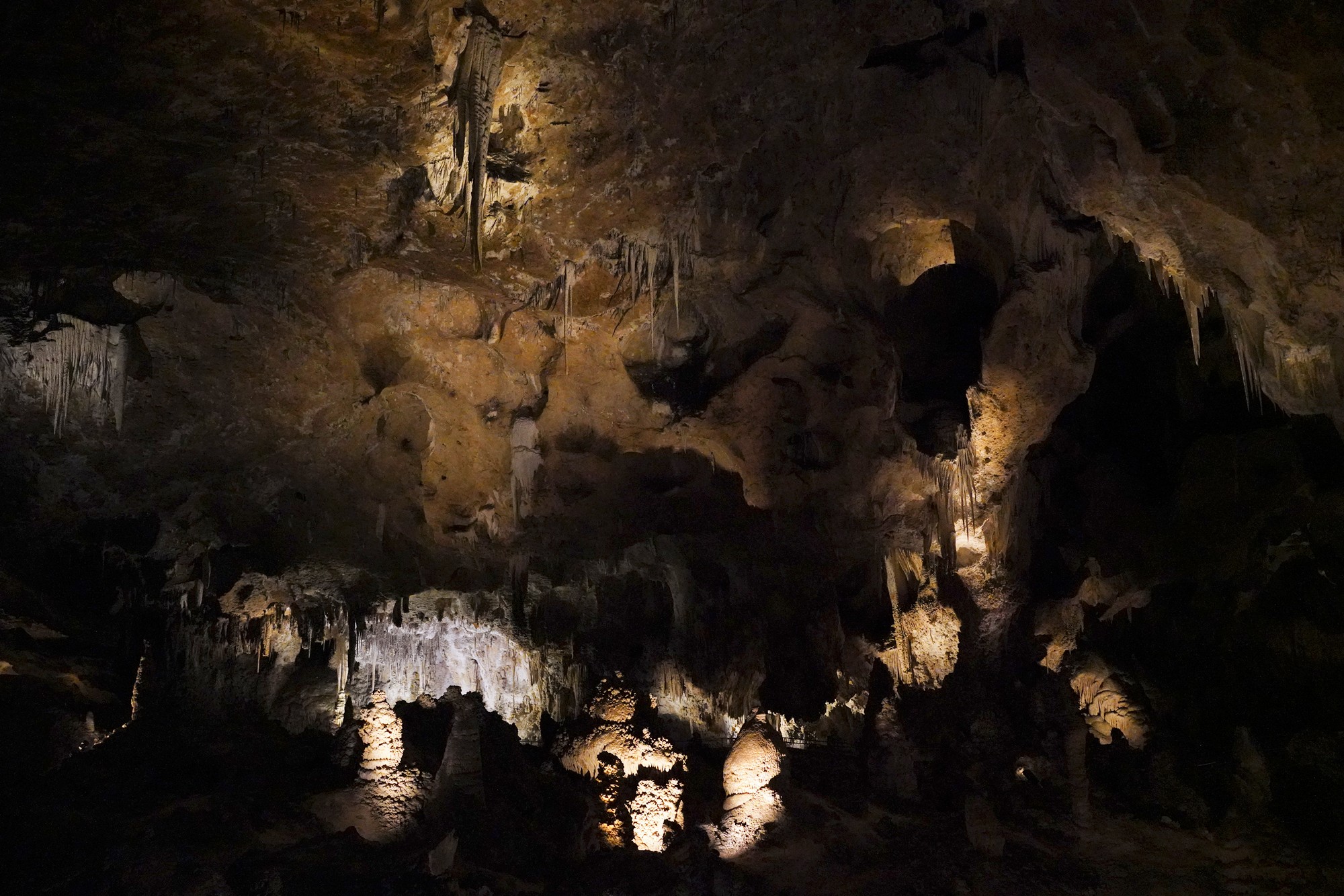 Carlsbad Caverns National Park (50)