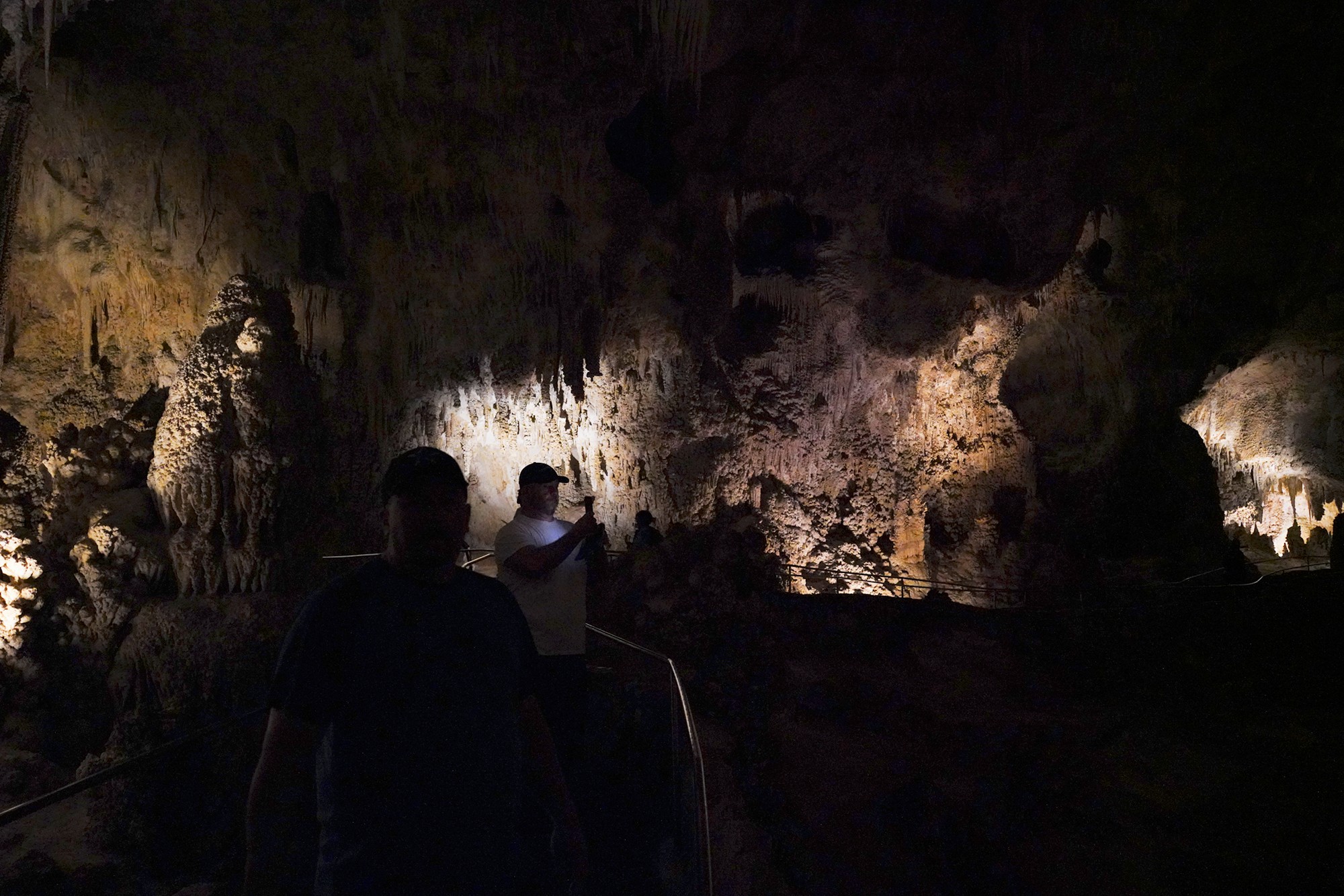 Carlsbad Caverns National Park (51)