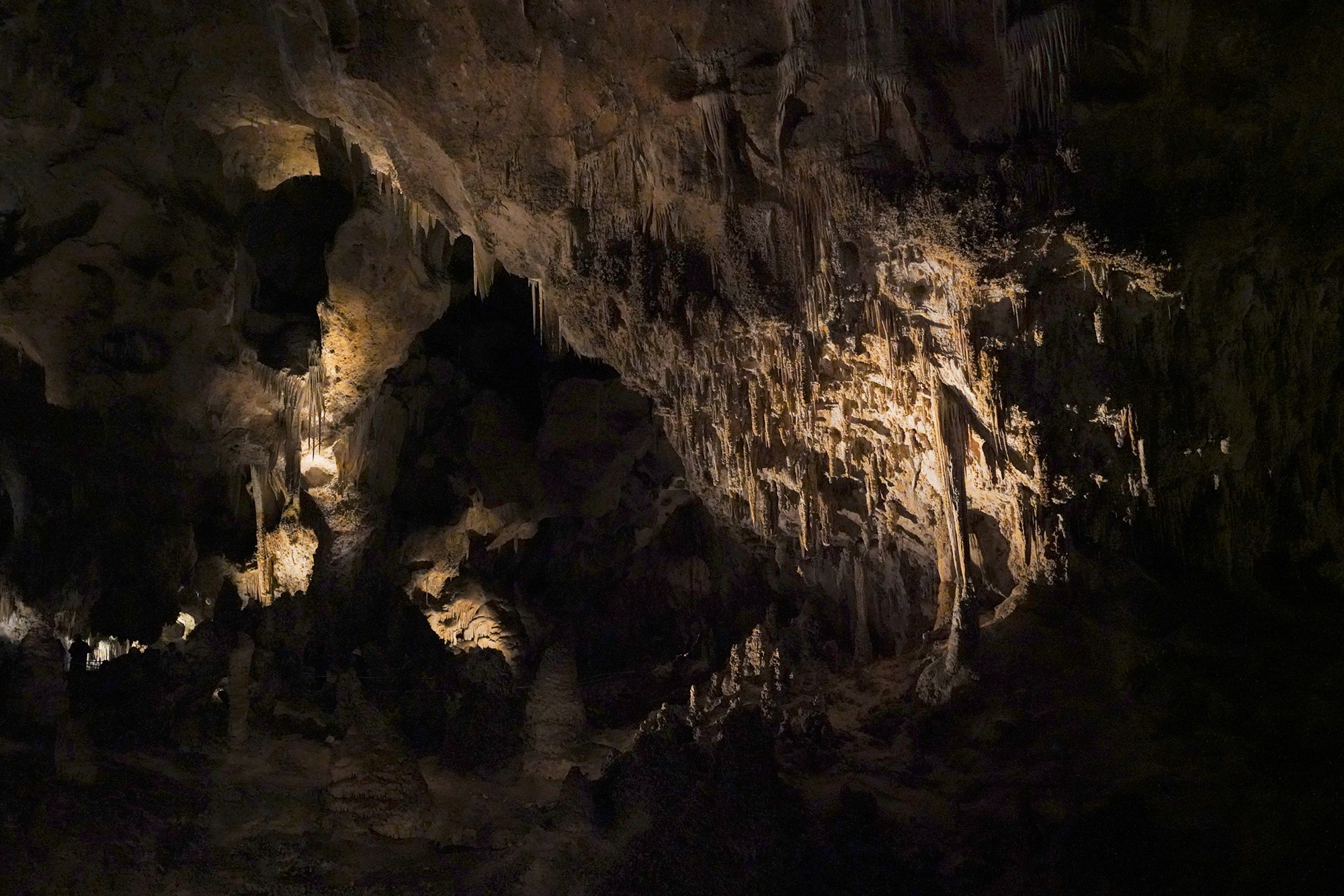 Carlsbad Caverns National Park (52)