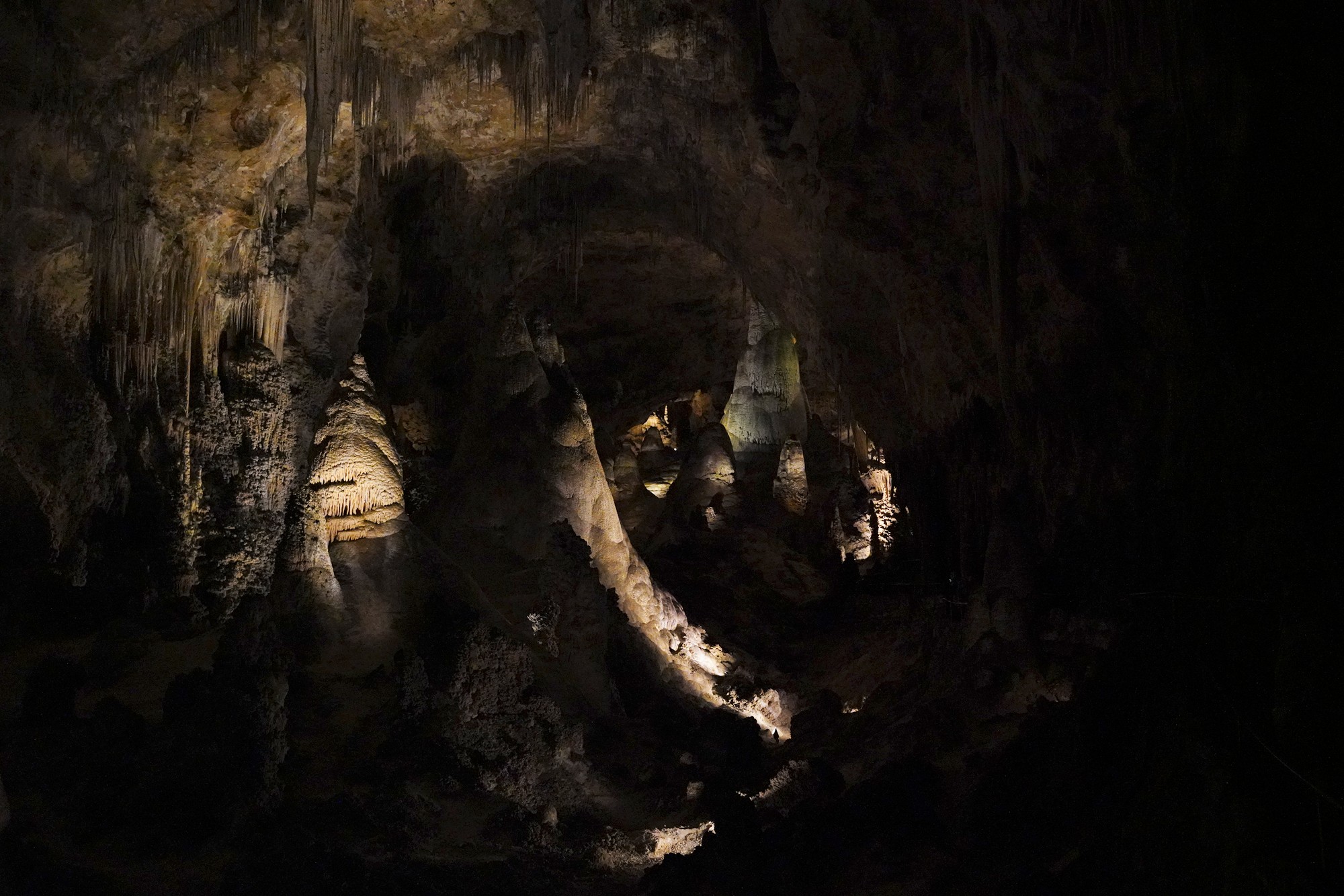 Carlsbad Caverns National Park (53)