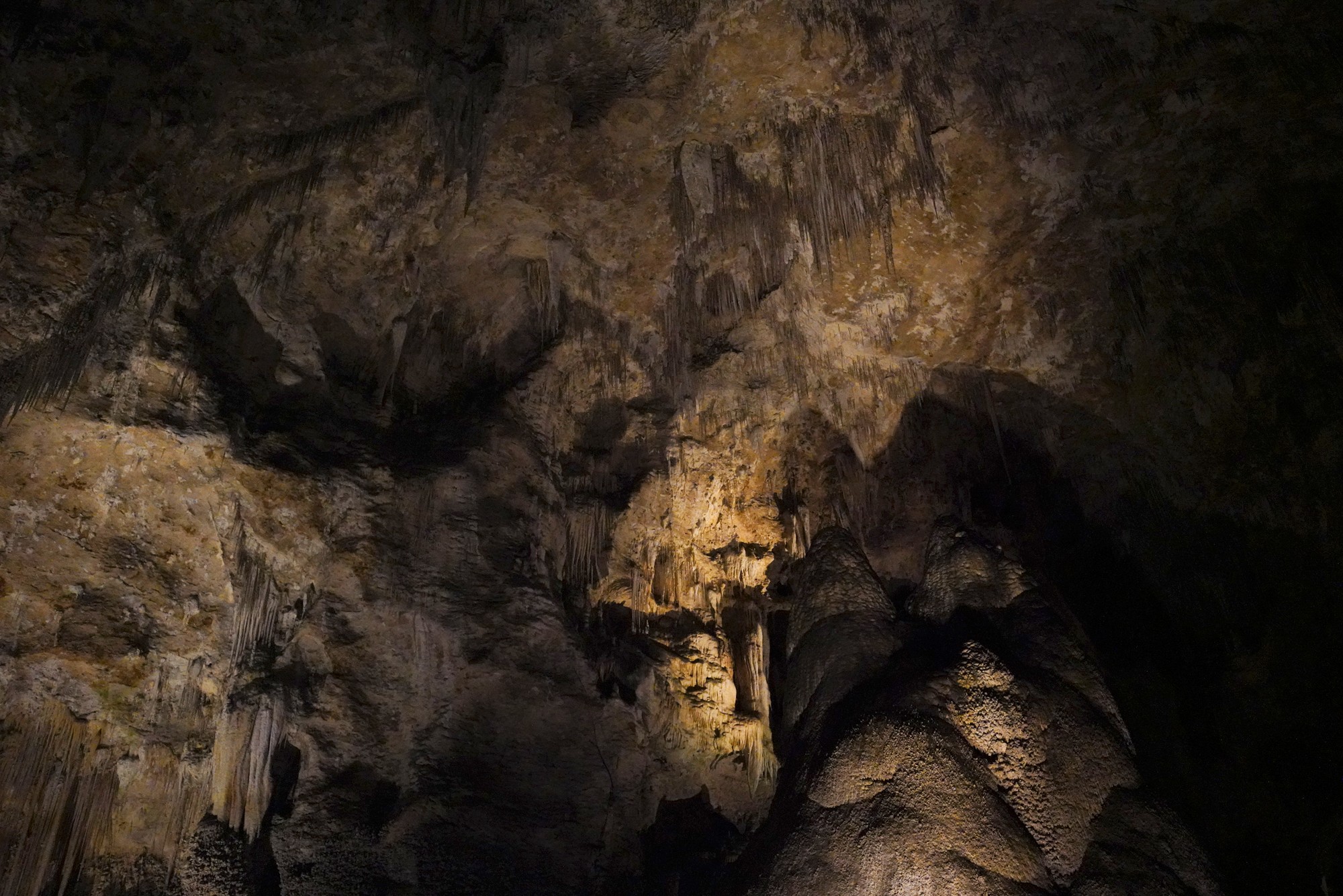 Carlsbad Caverns National Park (54)