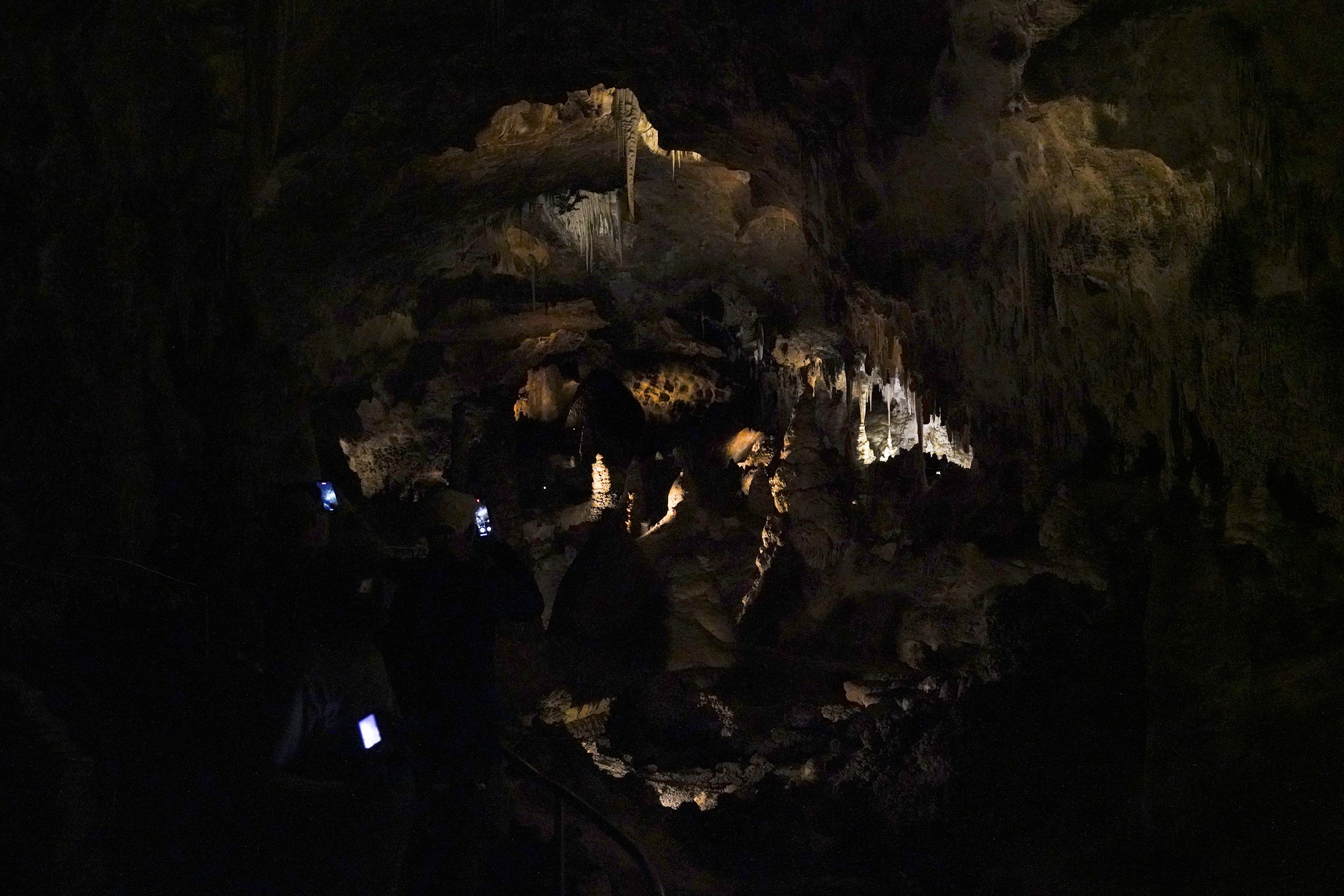 Carlsbad Caverns National Park (55)