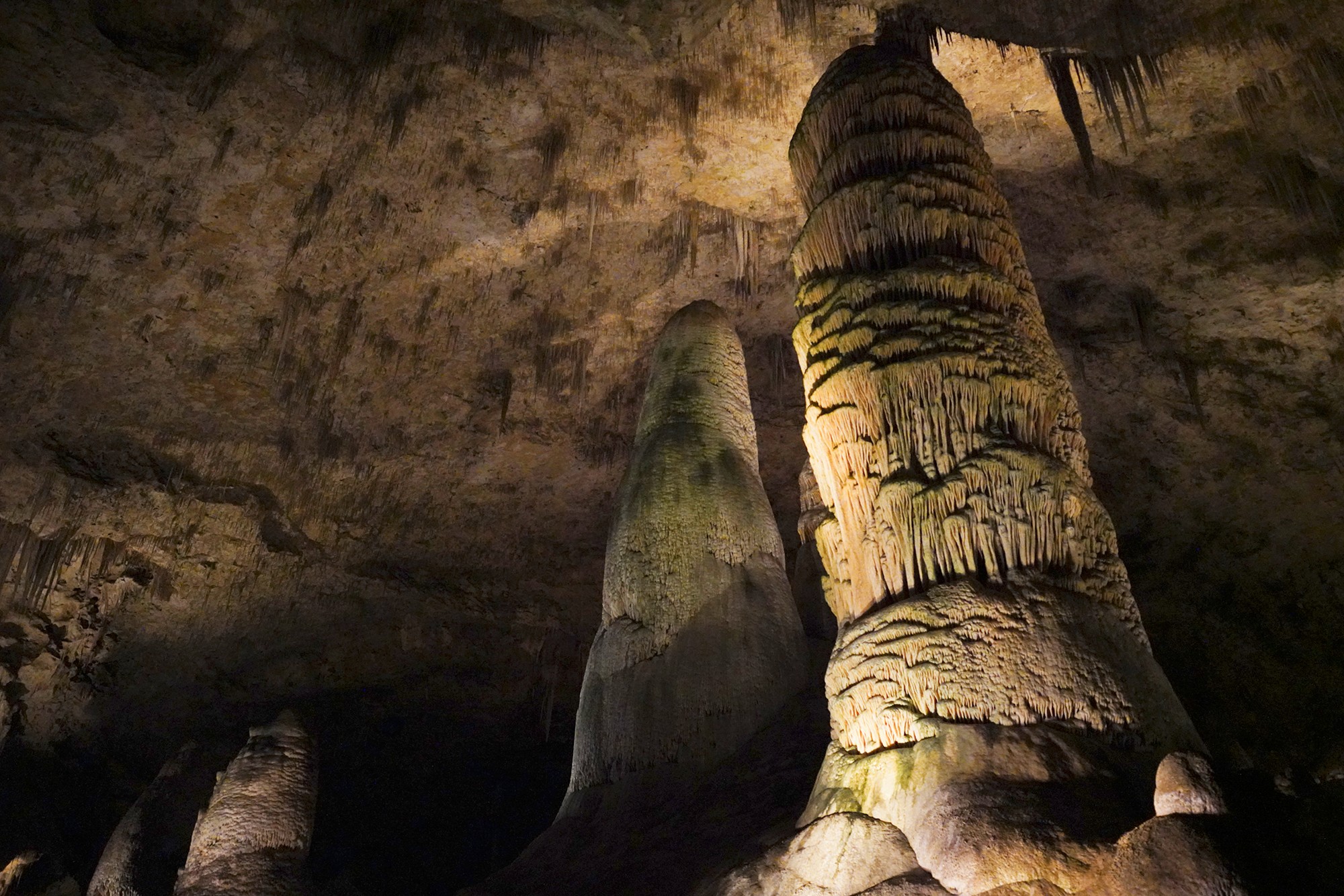 Carlsbad Caverns National Park (56)