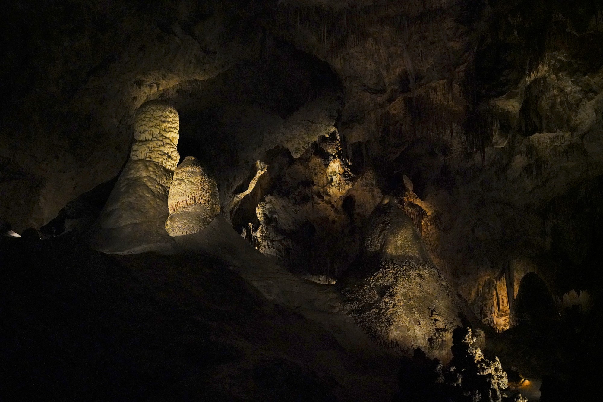 Carlsbad Caverns National Park (57)