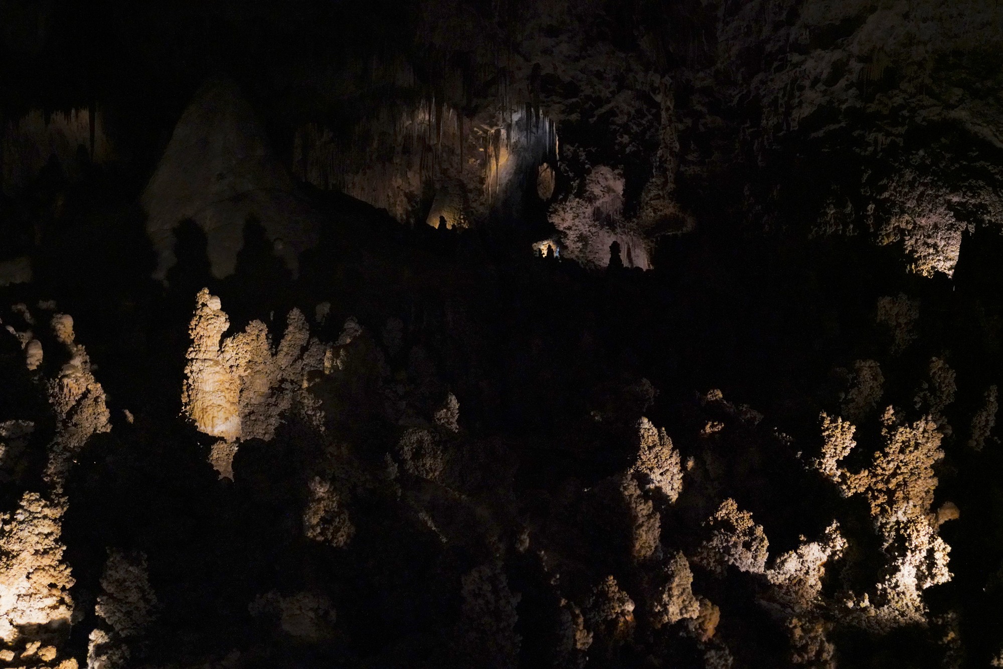 Carlsbad Caverns National Park (58)
