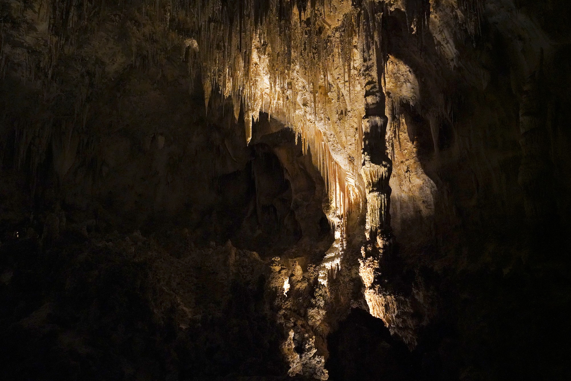 Carlsbad Caverns National Park (59)