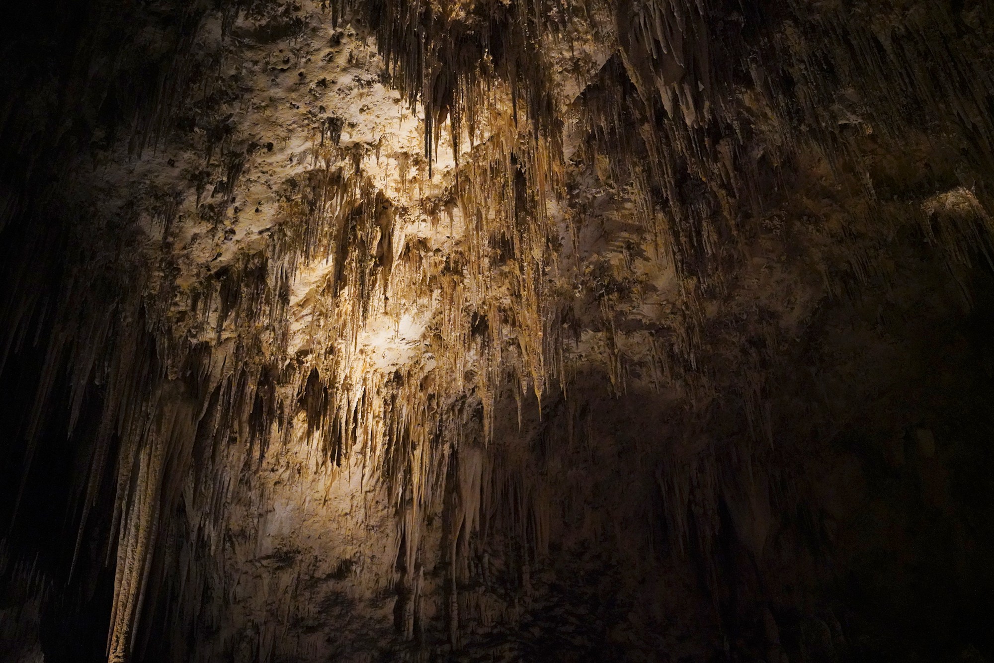 Carlsbad Caverns National Park (60)