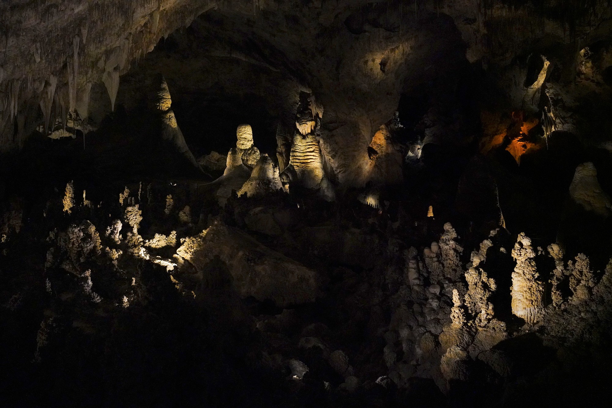 Carlsbad Caverns National Park (61)