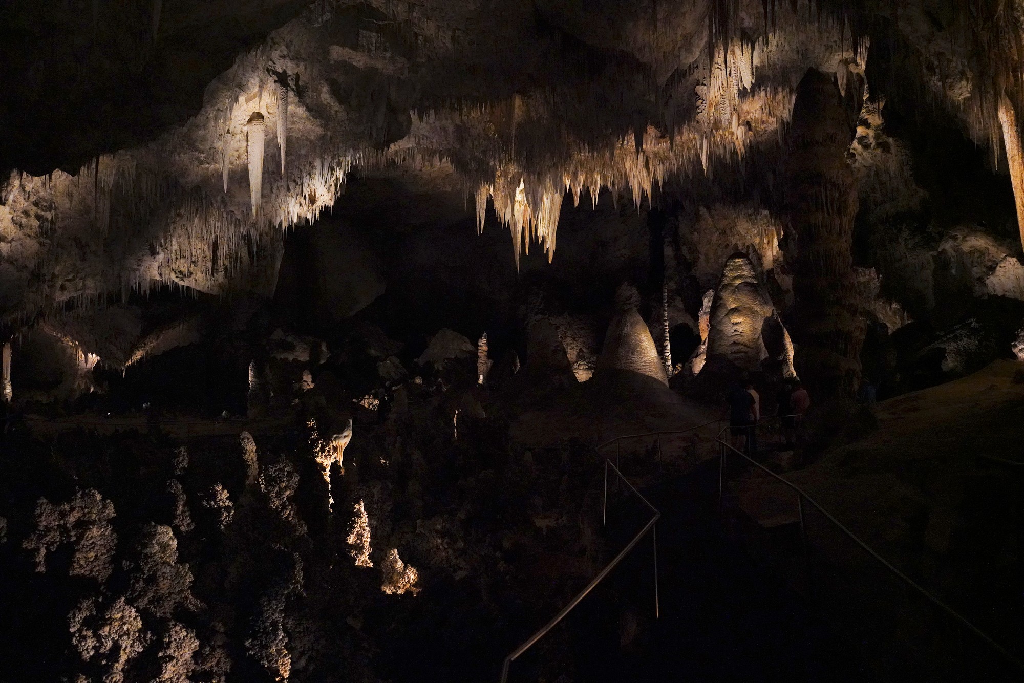 Carlsbad Caverns National Park (62)