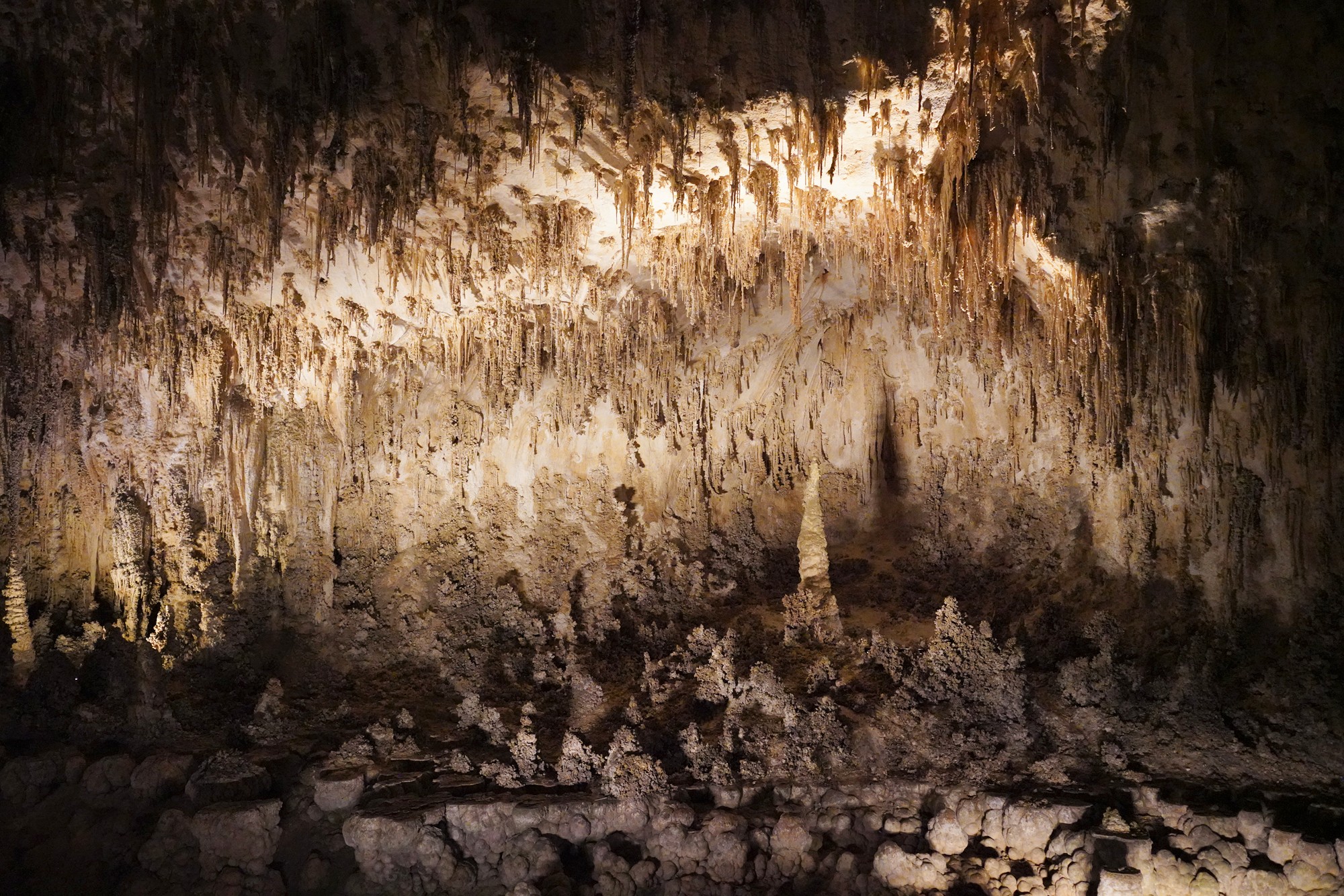 Carlsbad Caverns National Park (64)