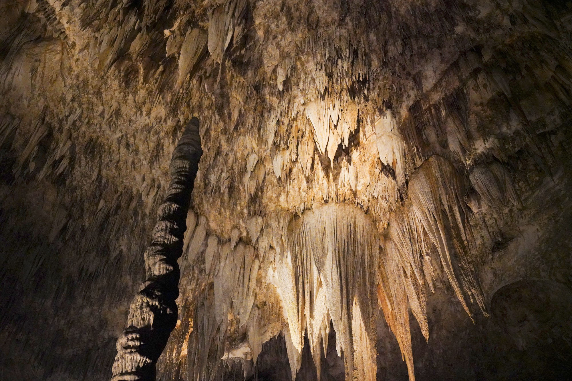 Carlsbad Caverns National Park (65)