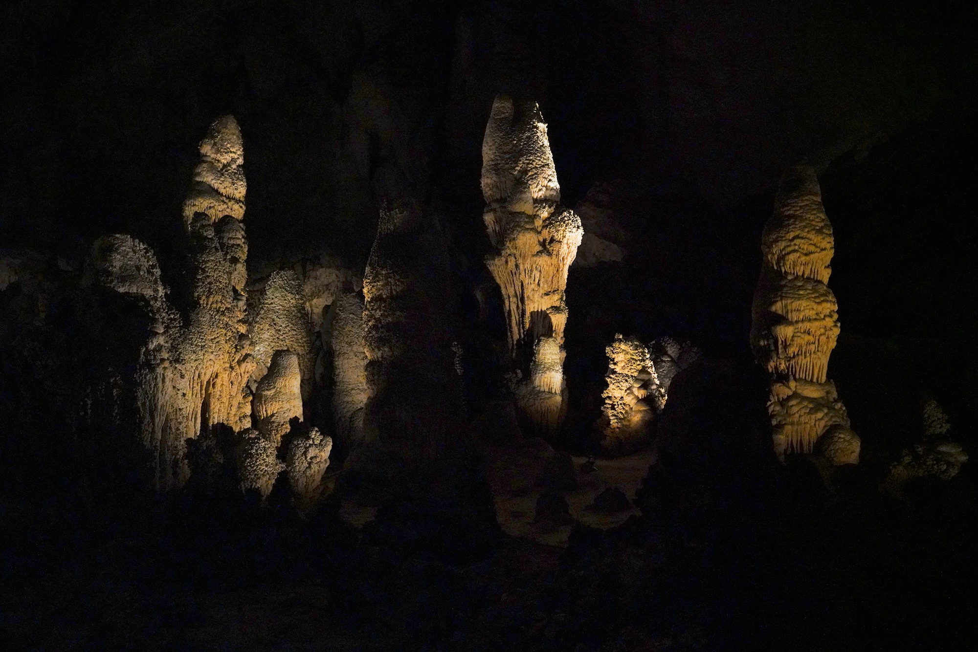 Carlsbad Caverns National Park (66)