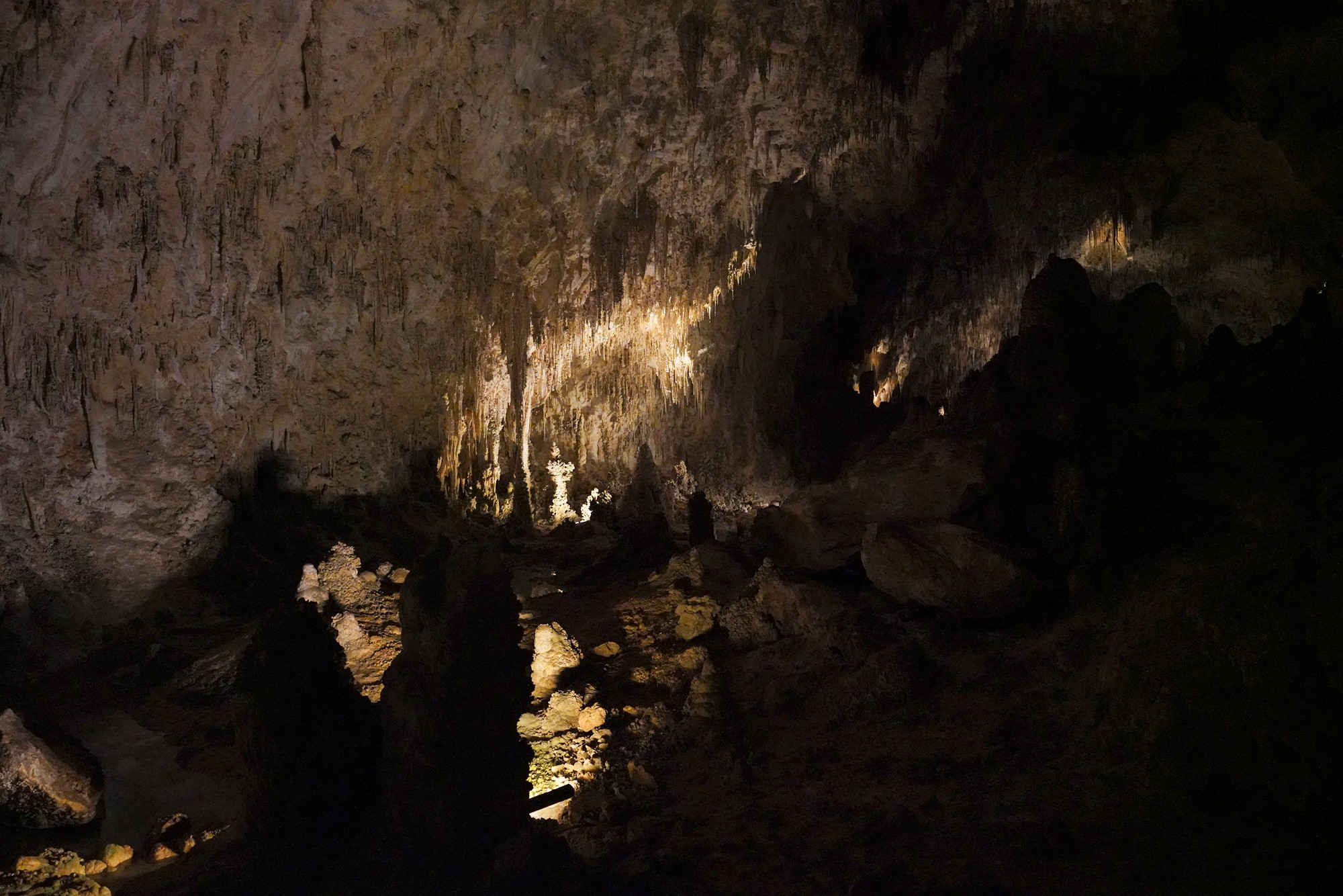 Carlsbad Caverns National Park (67)