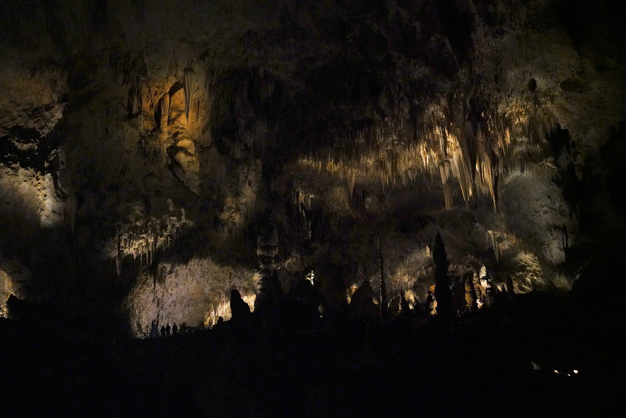 Carlsbad Caverns National Park (68)